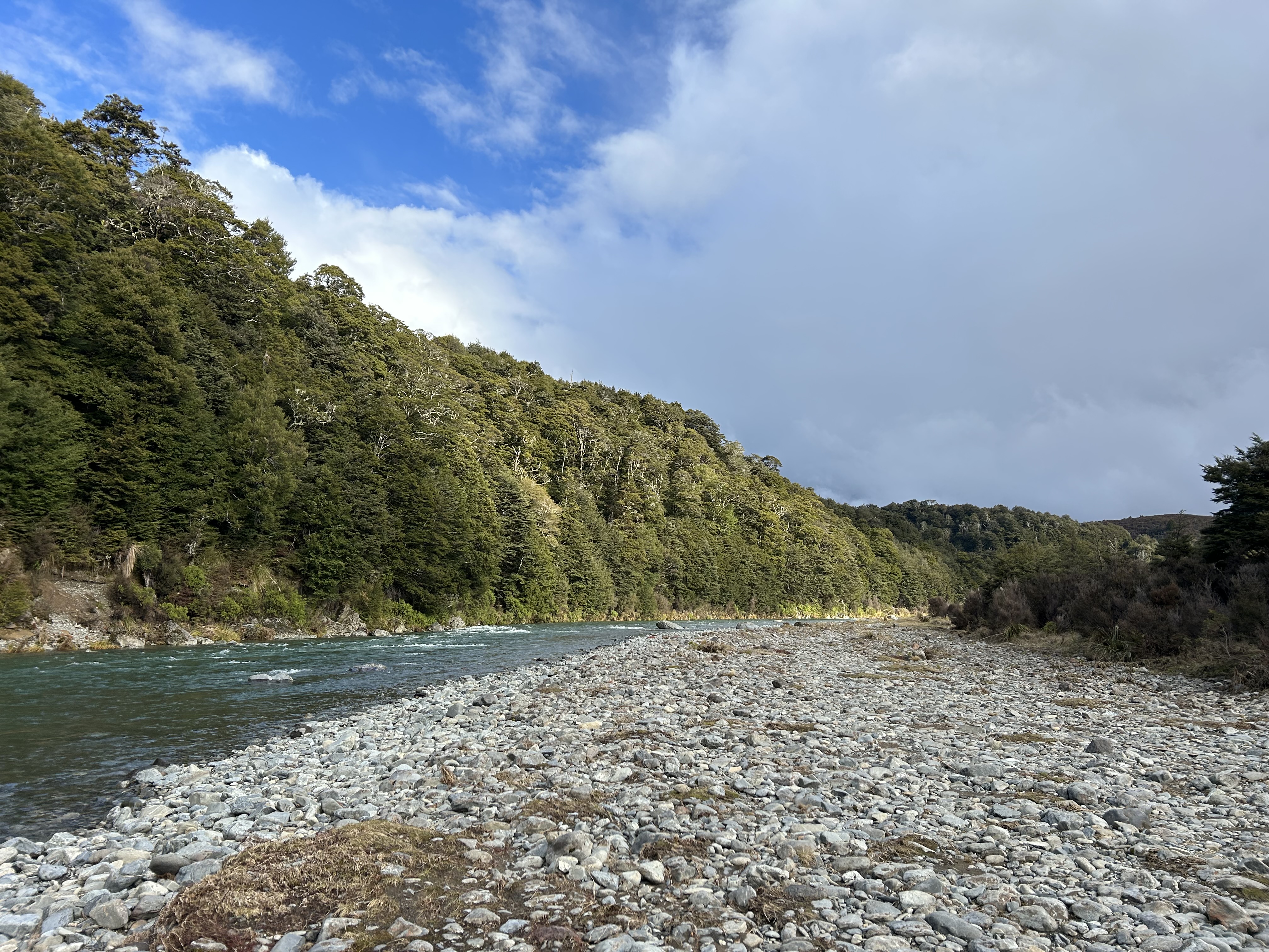 Waipakihi Campsite image 3