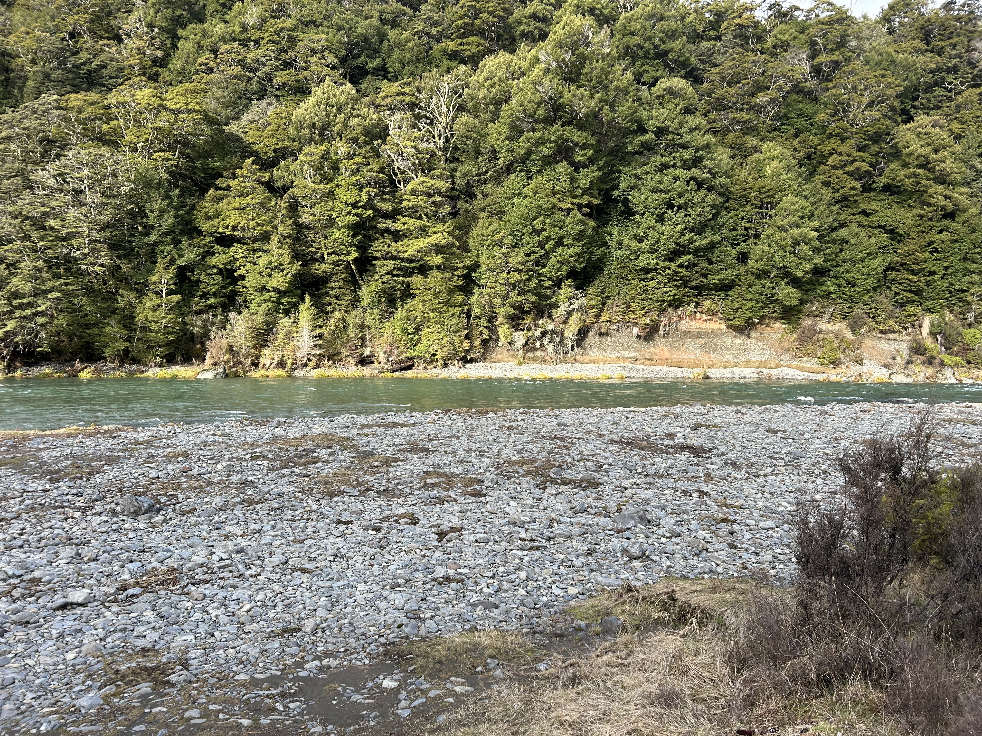 Waipakihi Campsite image 2