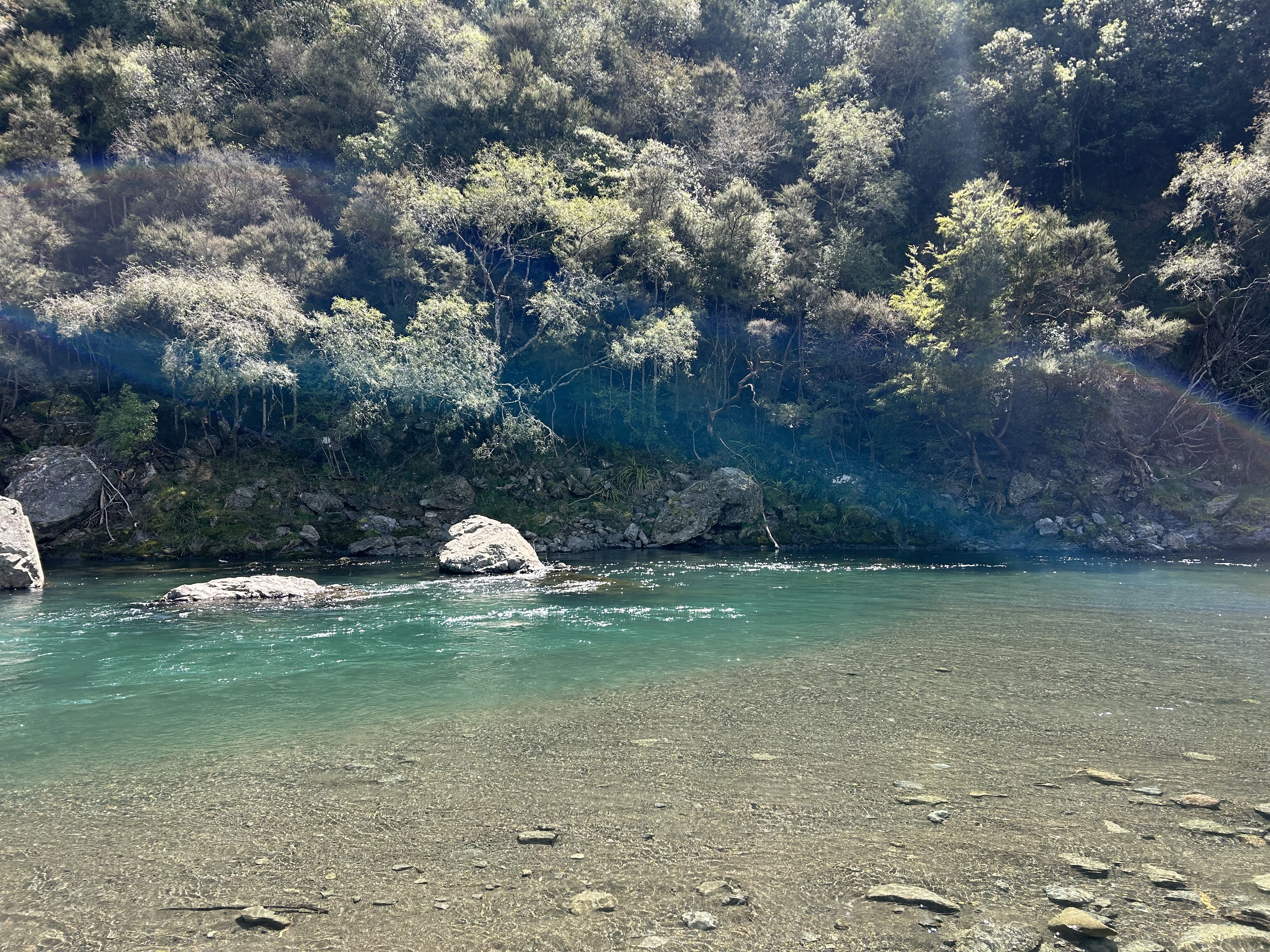 Kuripapango (Ox Bow) Campsite image 1