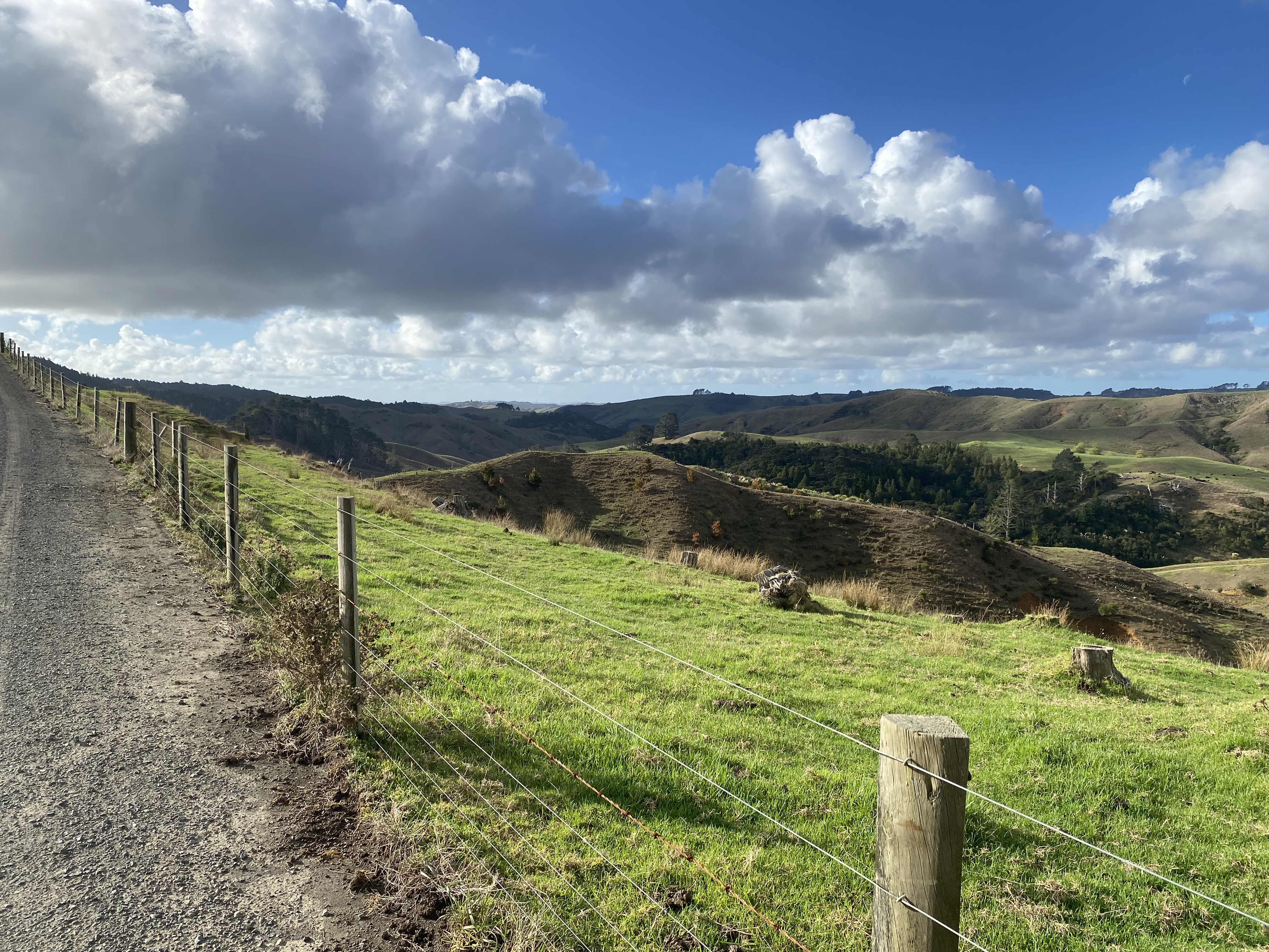 Kaipara Hills Road image 6