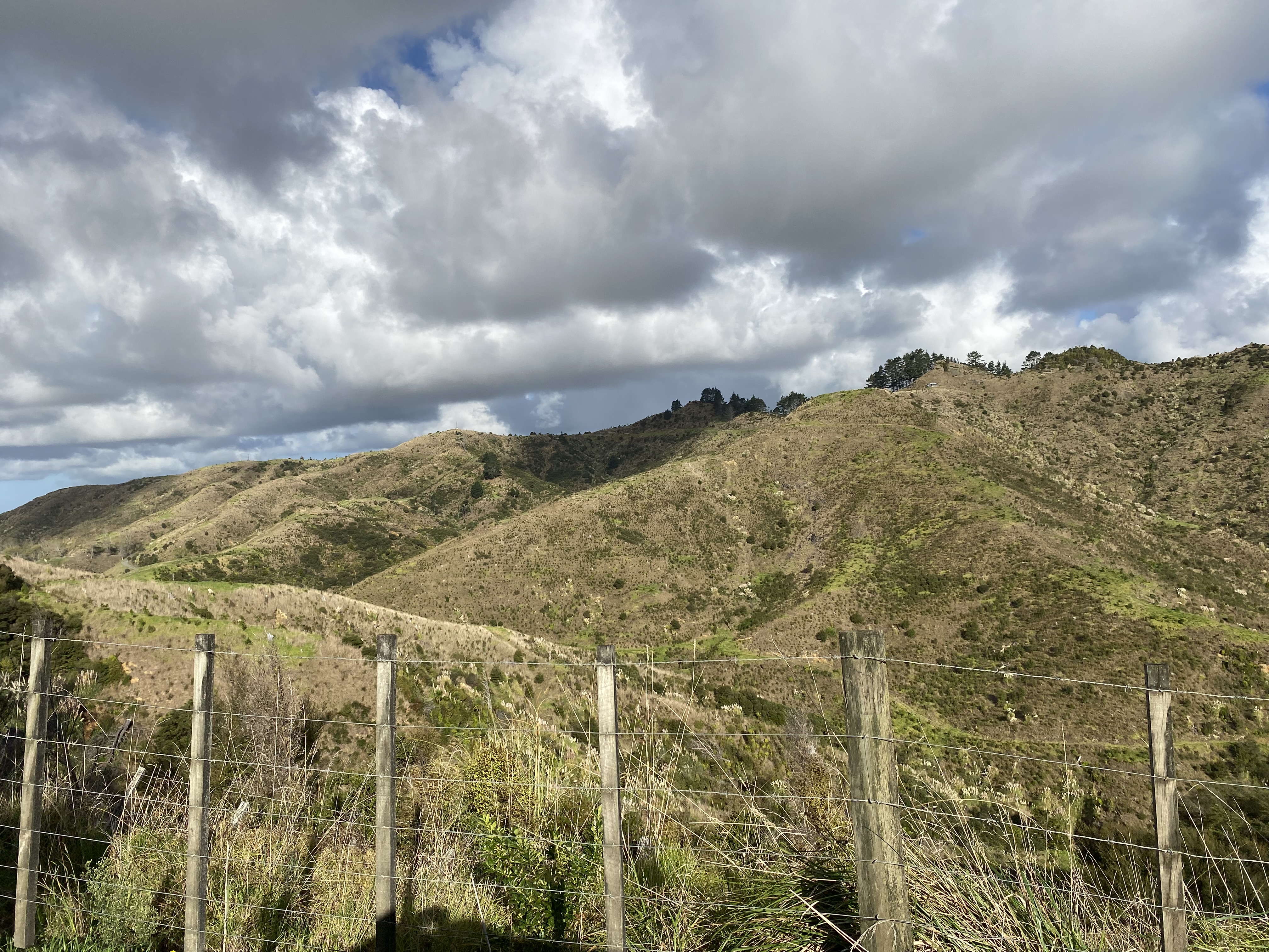 Kaipara Hills Road image 7