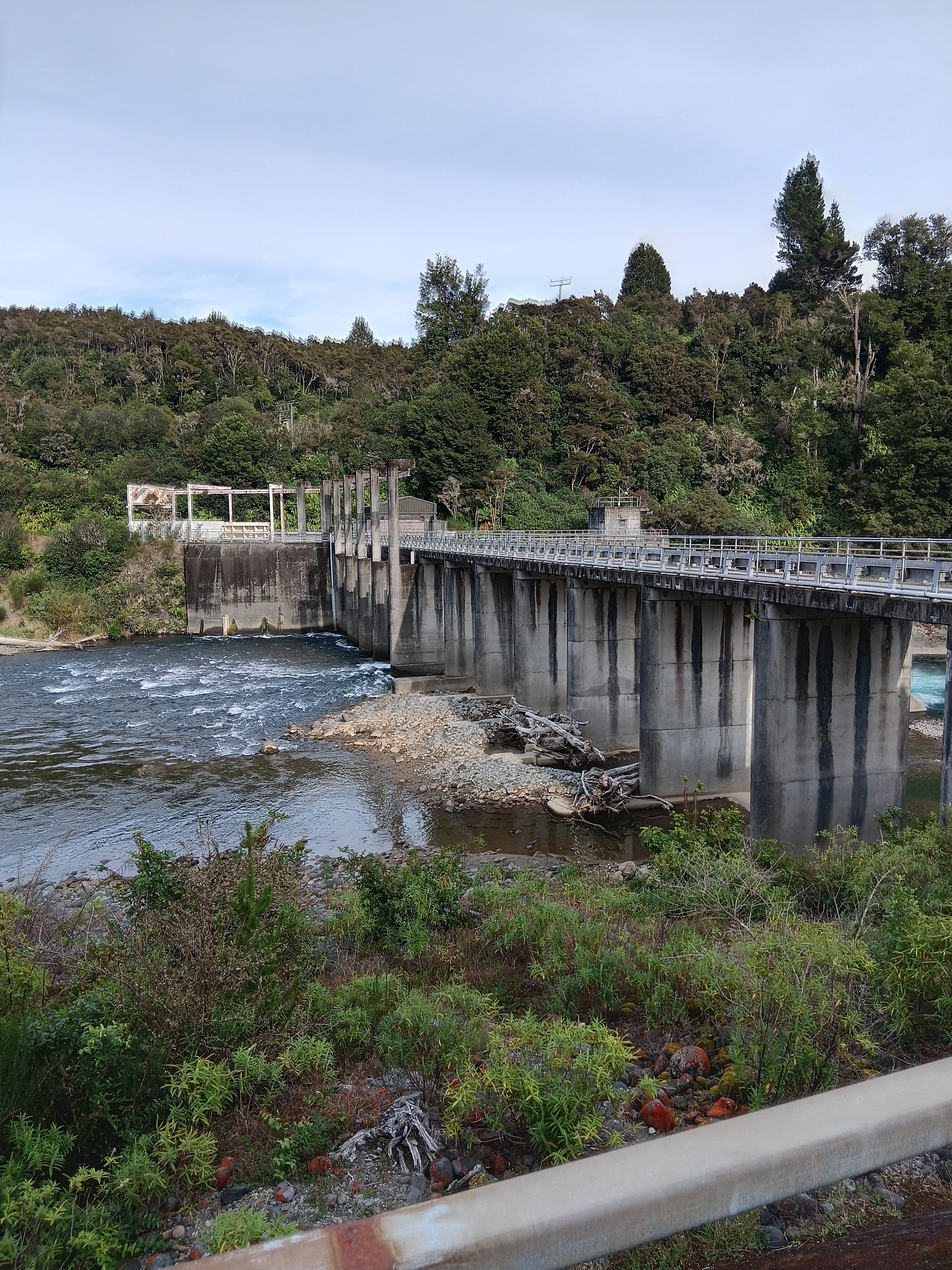Kaimanawa Loop image 5