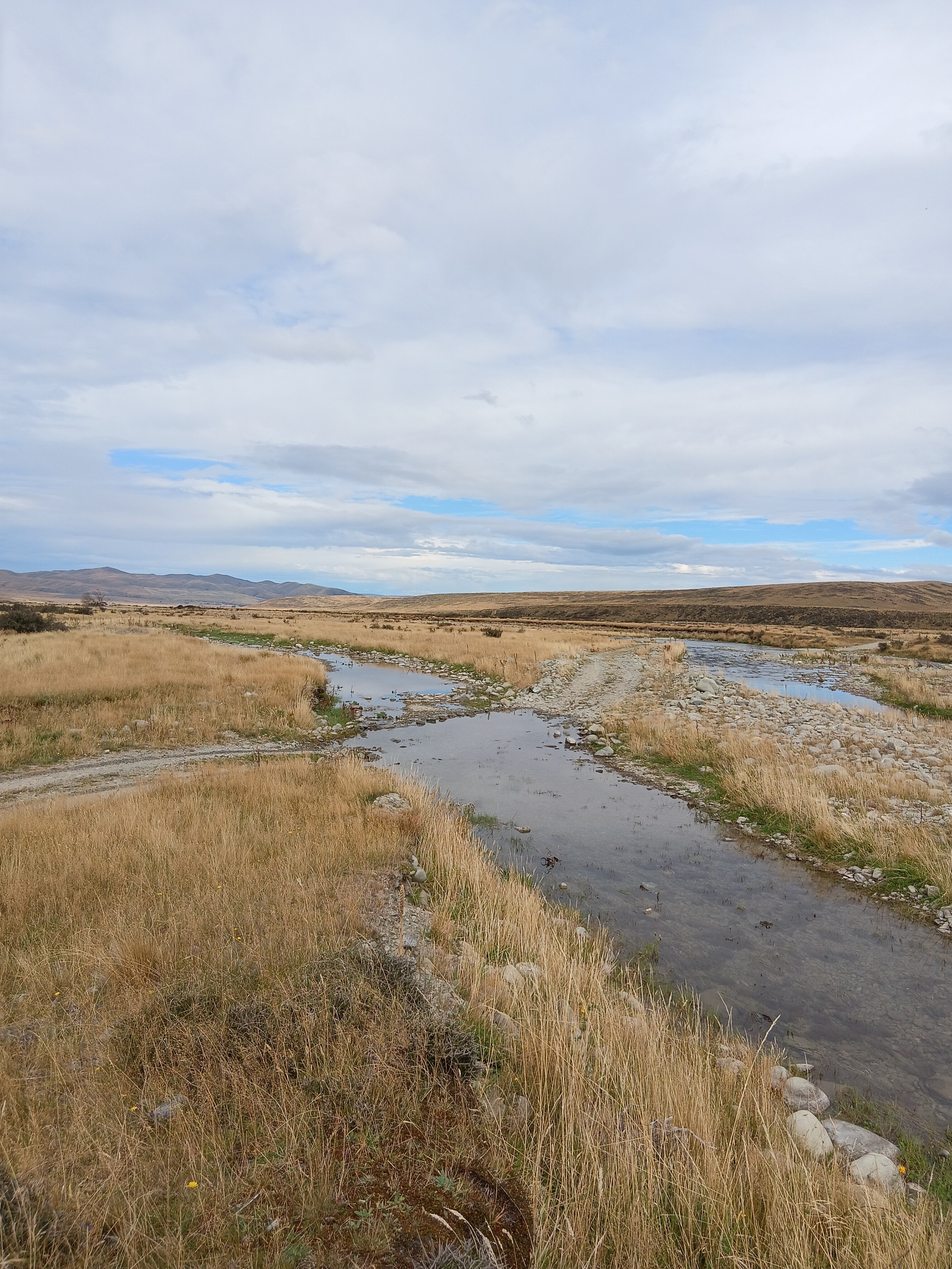 Hawkdun Runs Road image 5