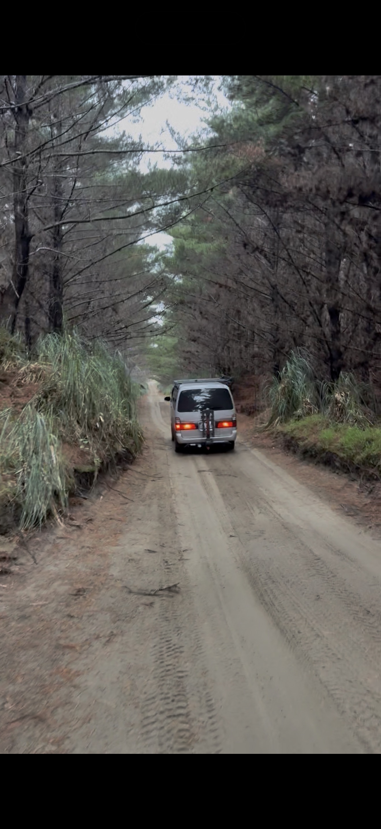 Muriwai via Wilsons image 3