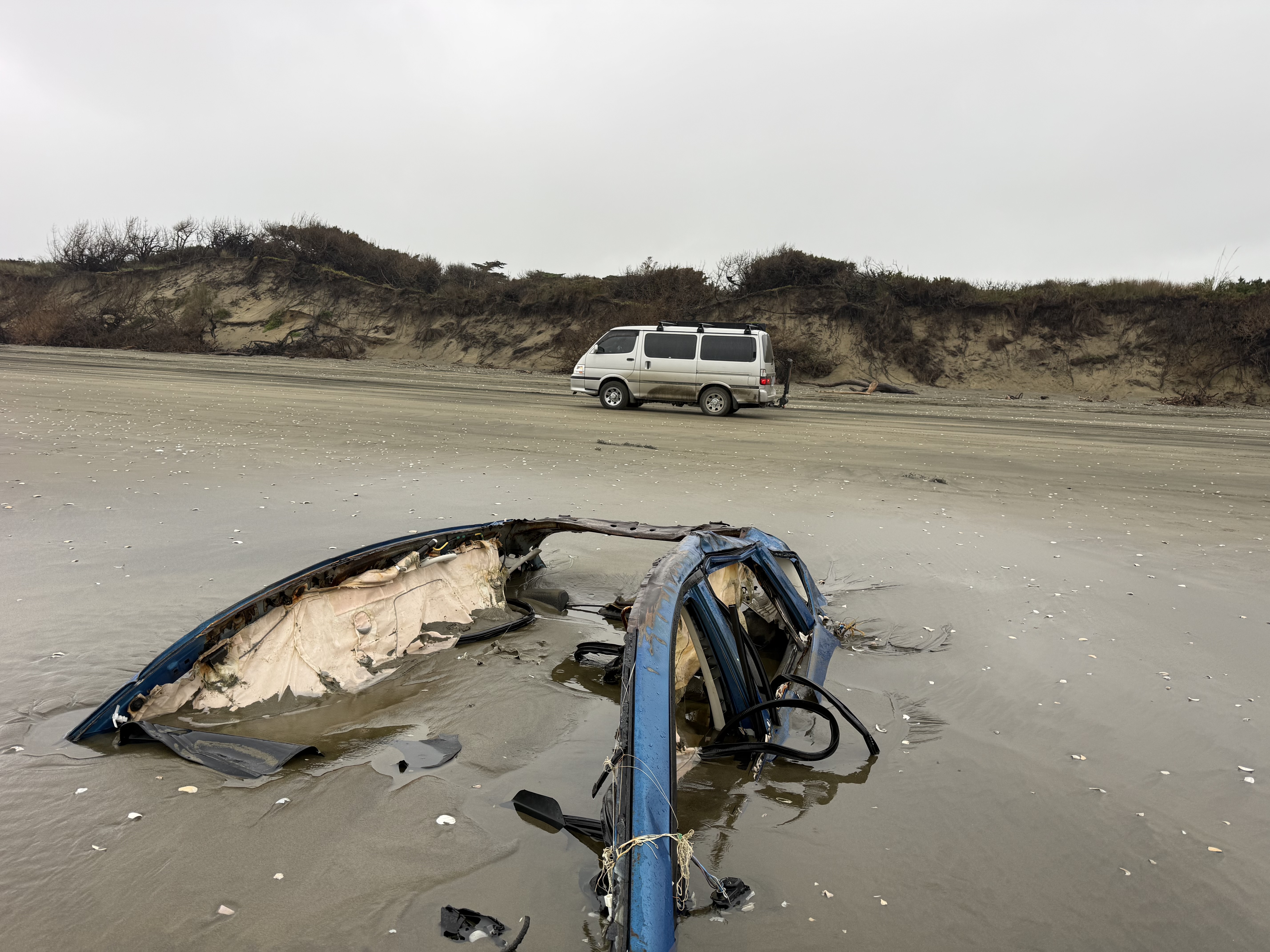 Muriwai via Wilsons image 5