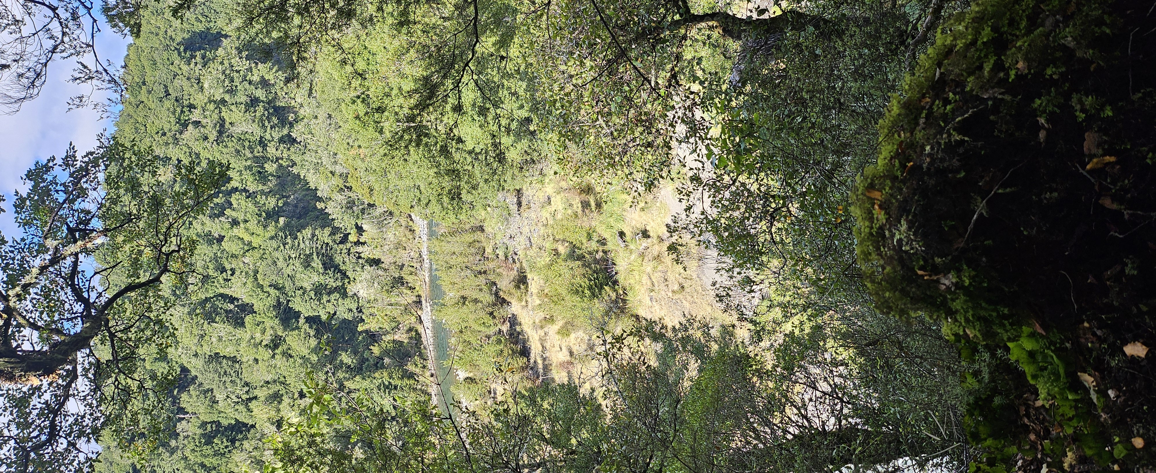 Urchin Campsite image 1