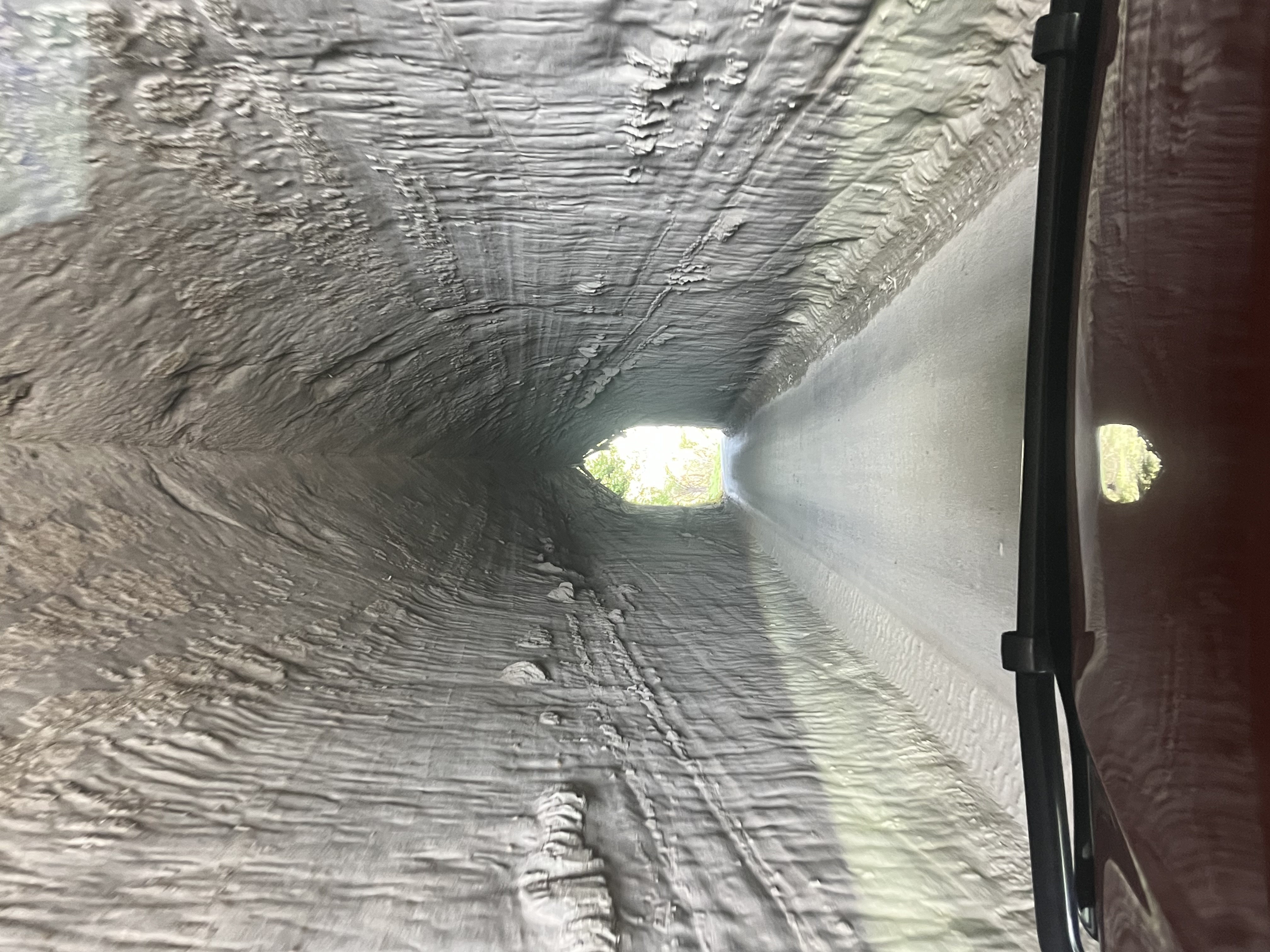 Kiwi Road image 1