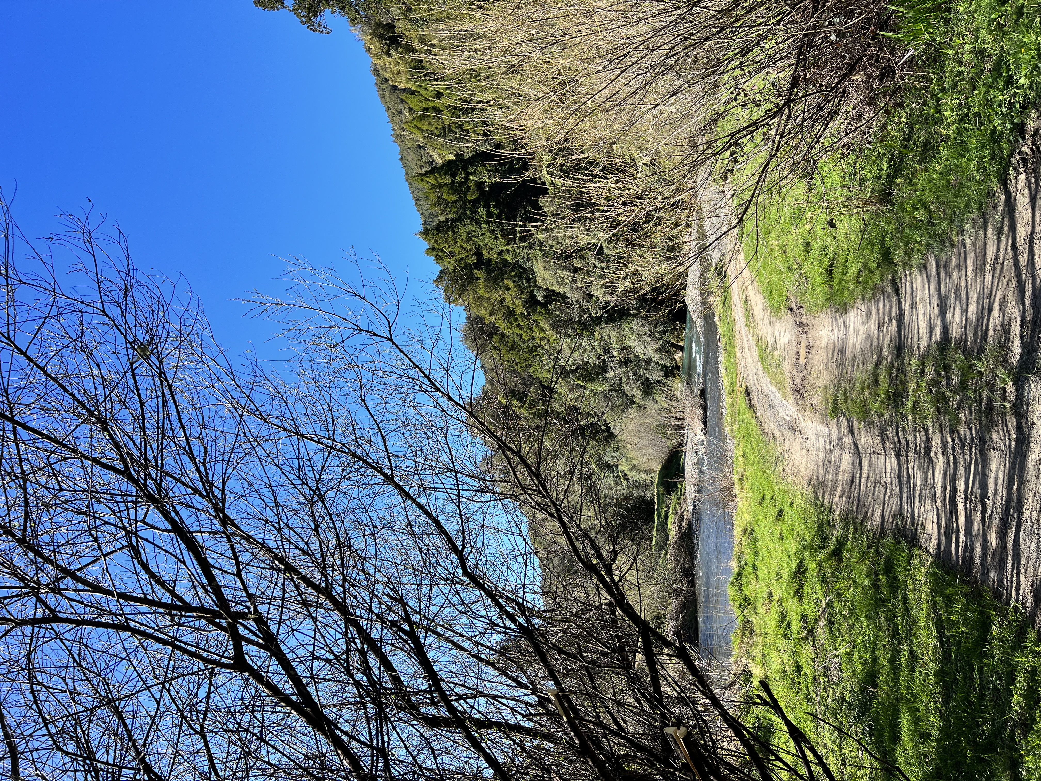 Takaputahi Road image 3