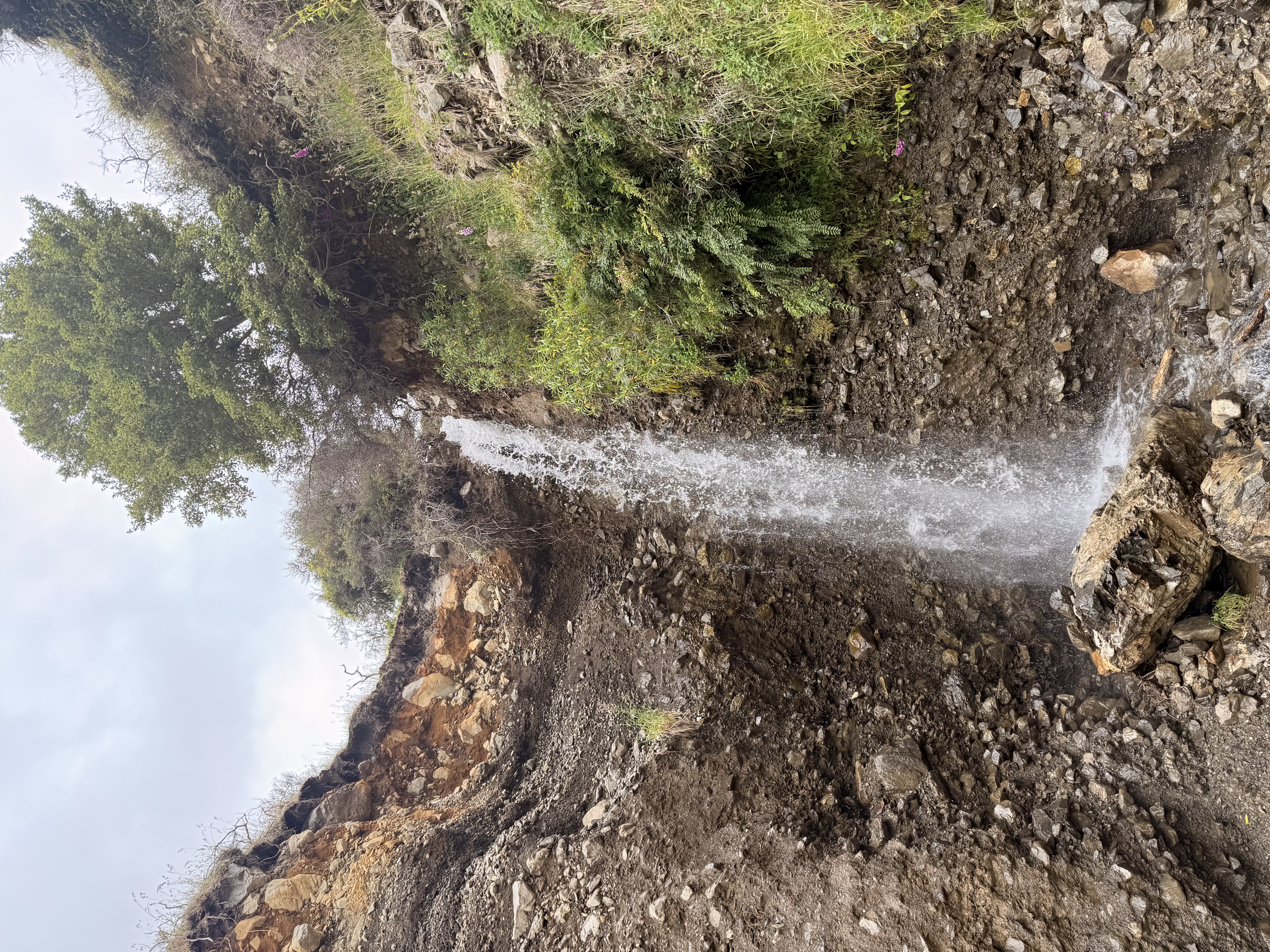 Lake Taylor image 6