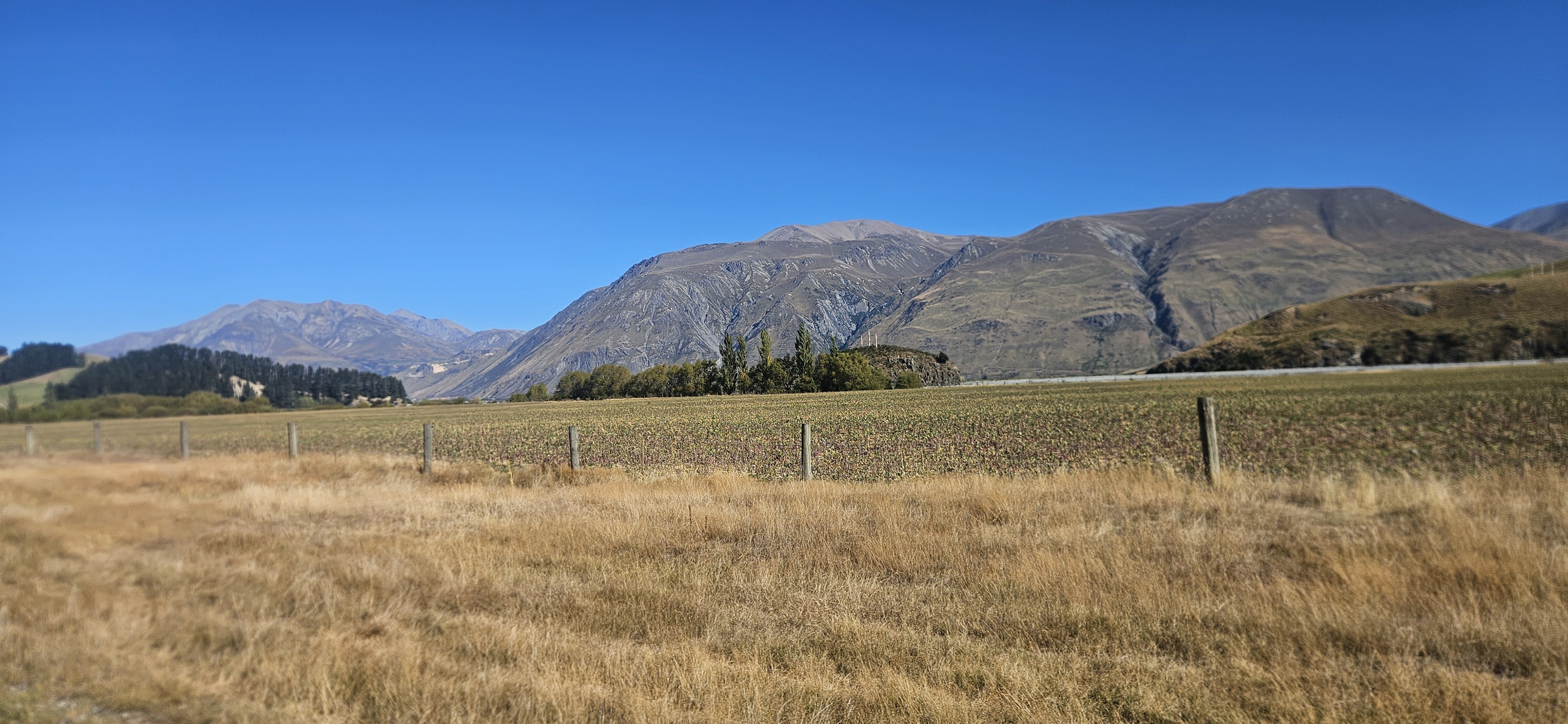 Algidus Road image 6