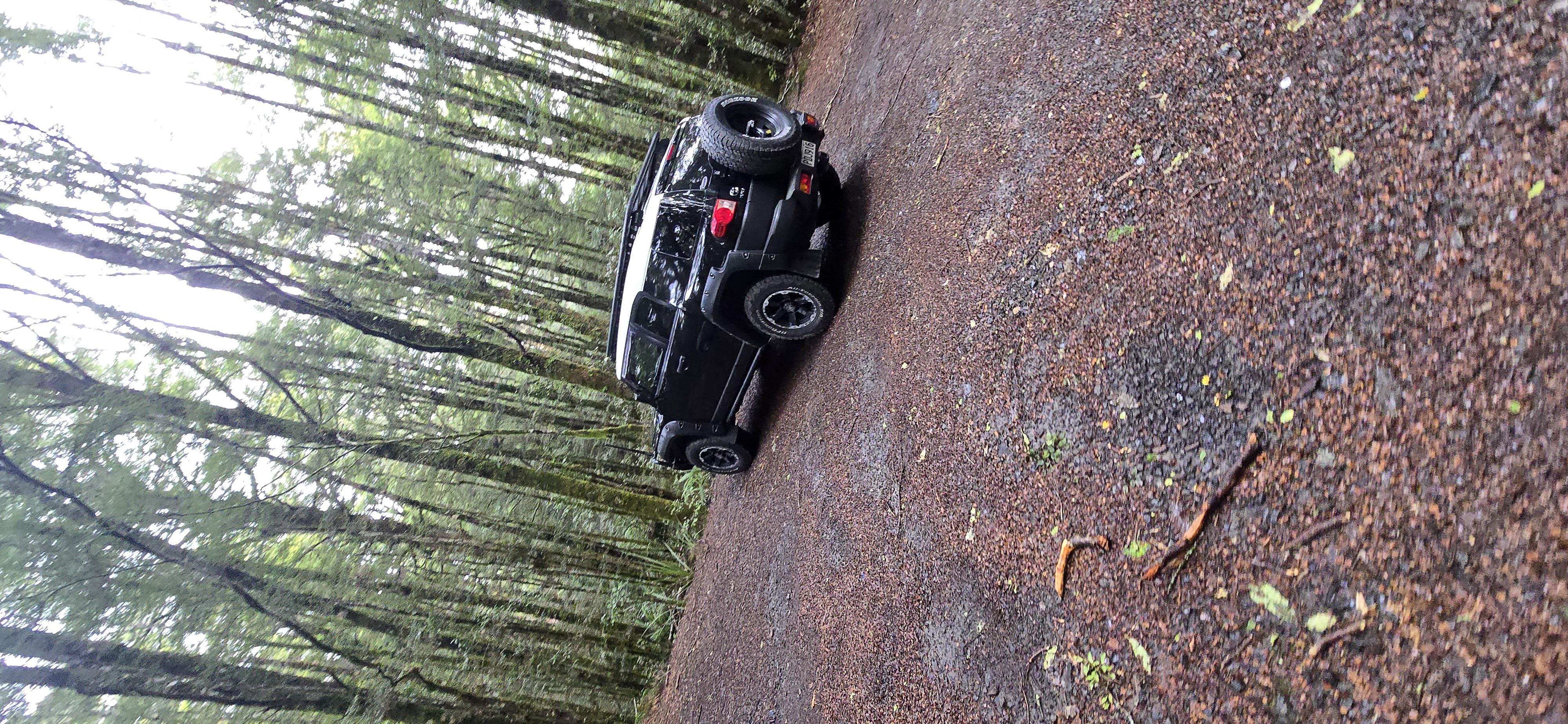 Clements Road End Campsite image 1