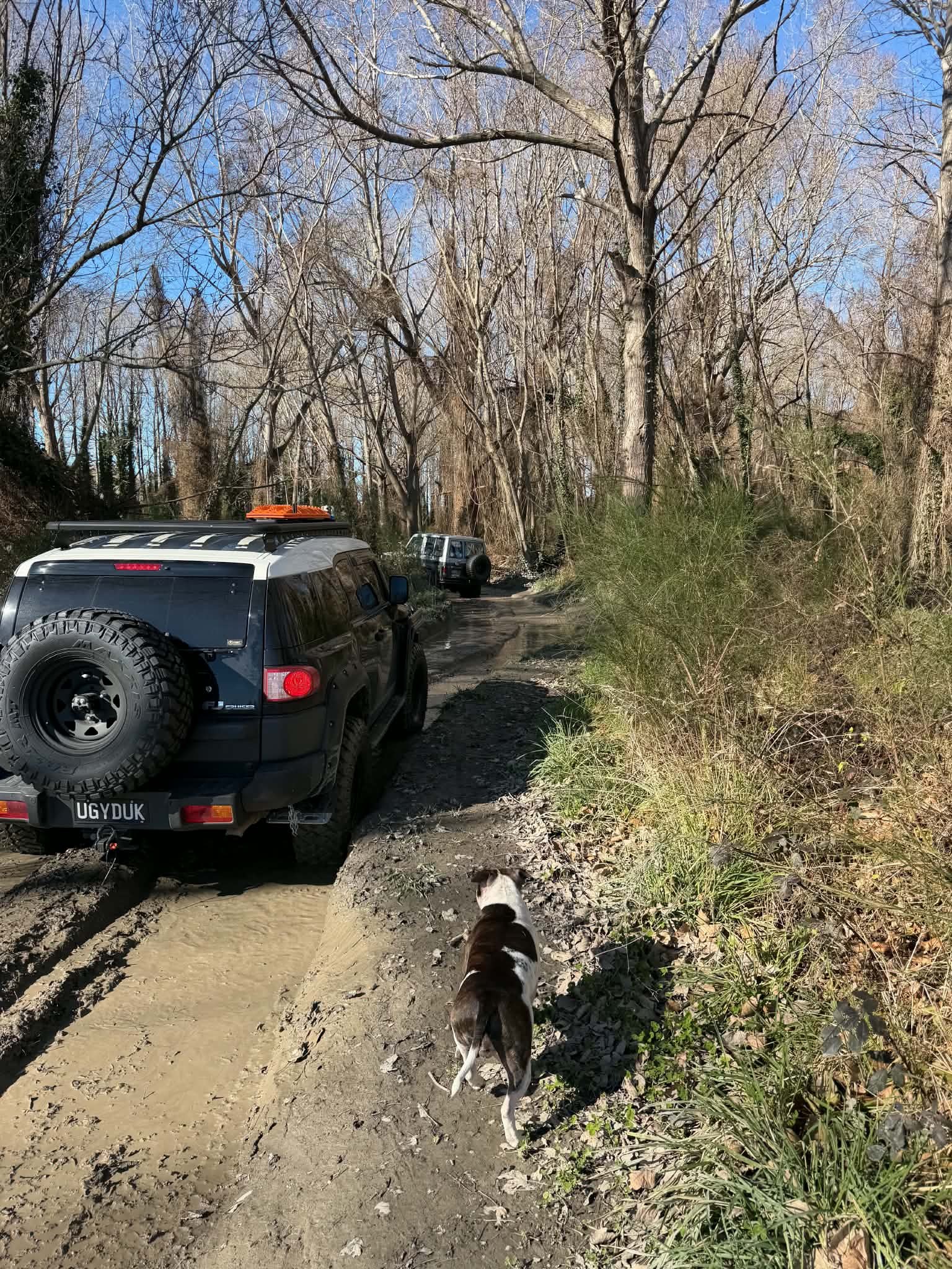 Mid Canterbury 4x4 Park image 2