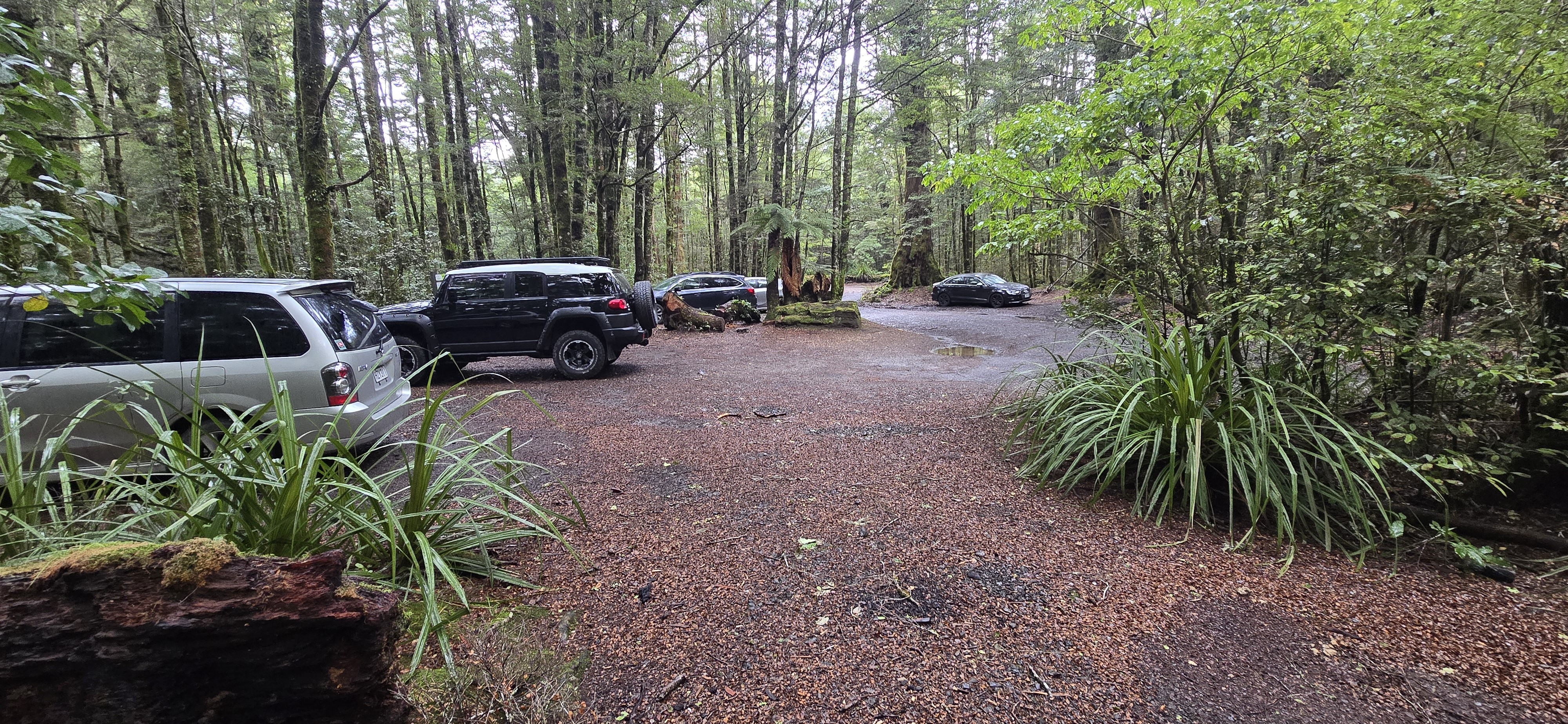 Clements Road End Campsite image 2