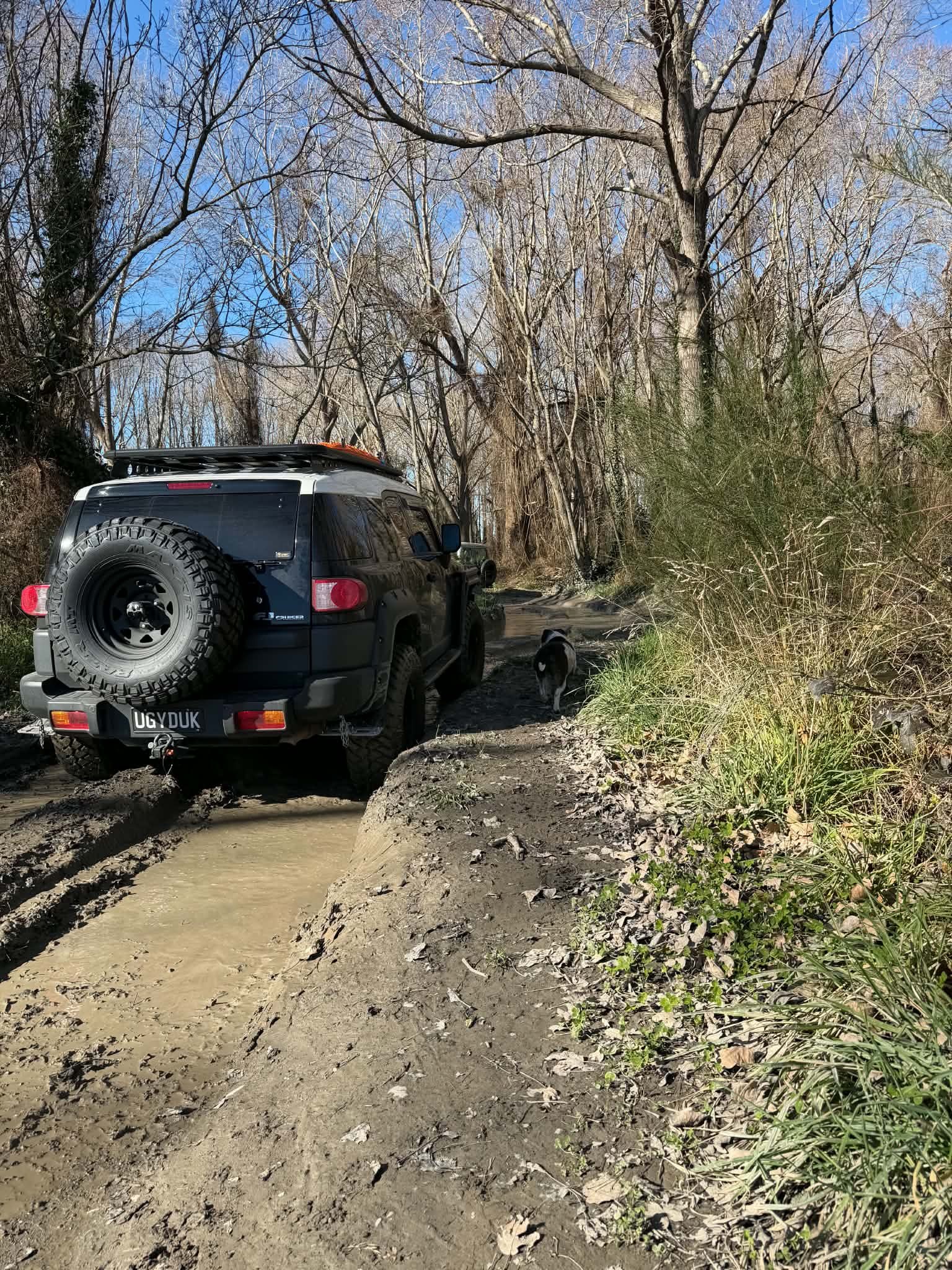 Mid Canterbury 4x4 Park image 3