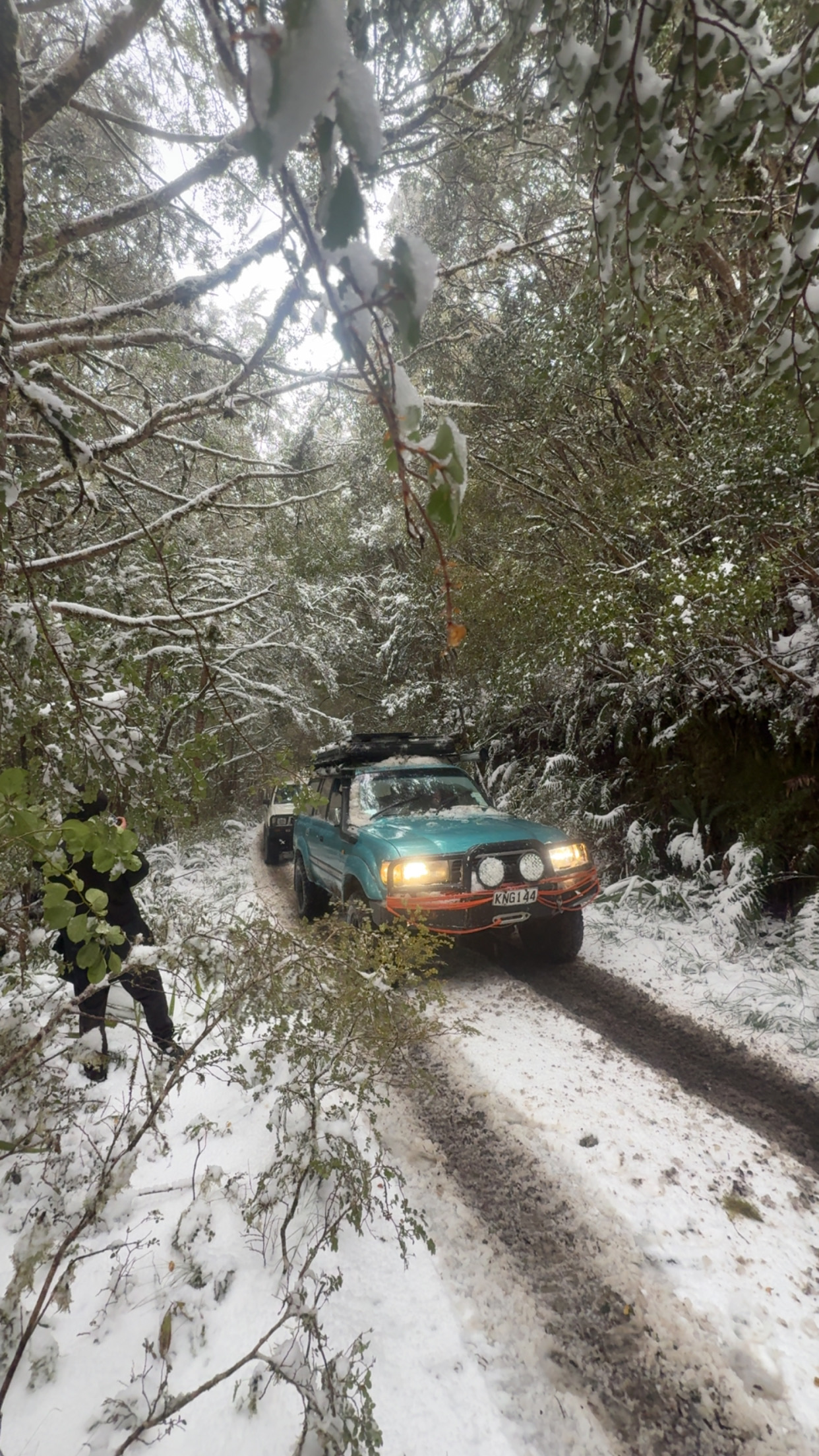 Waiotauru (Odlins) Road image 1