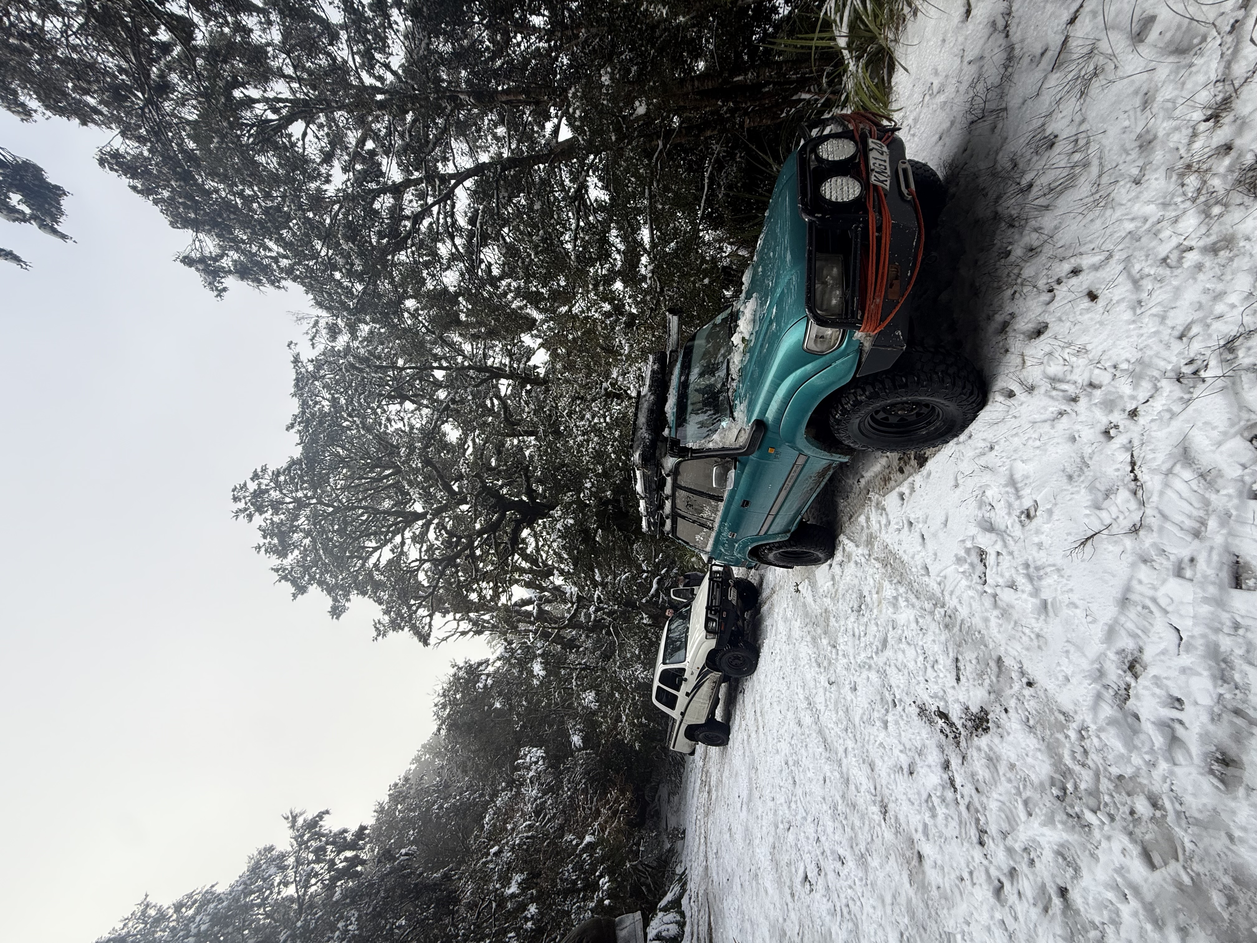 Waiotauru (Odlins) Road image 2