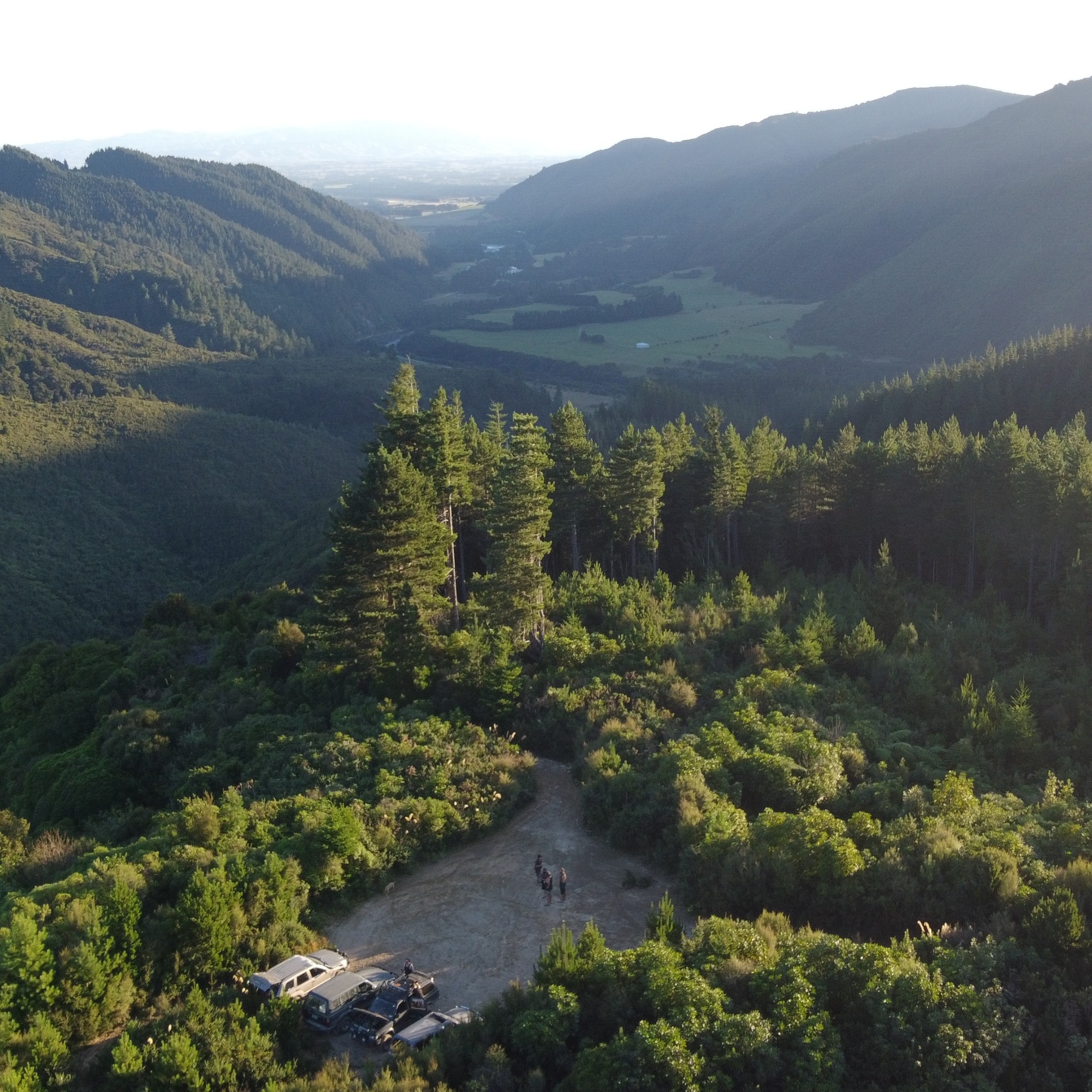Waiohine Gorge image 5