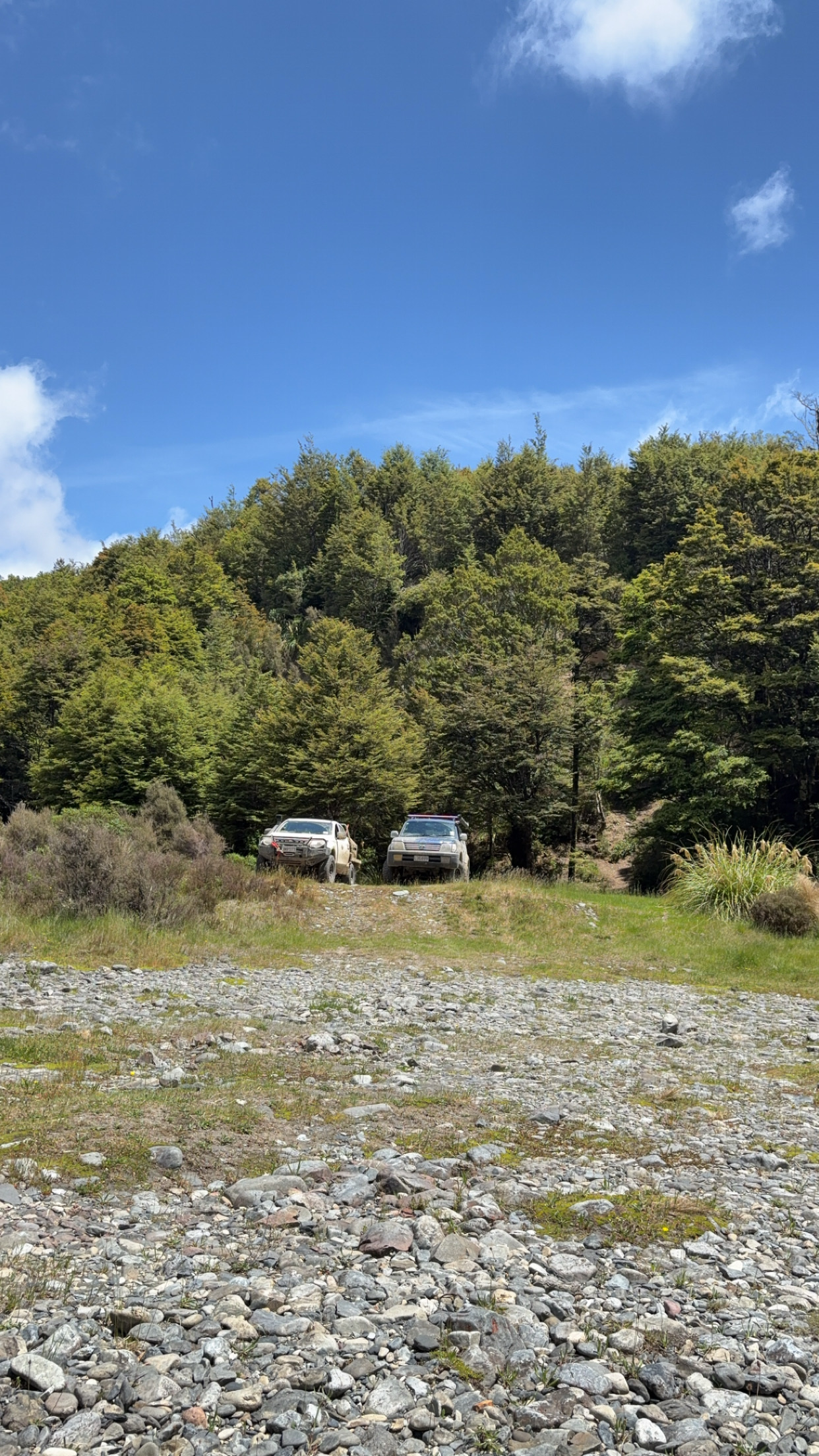 Waipakihi Campsite Access image 1