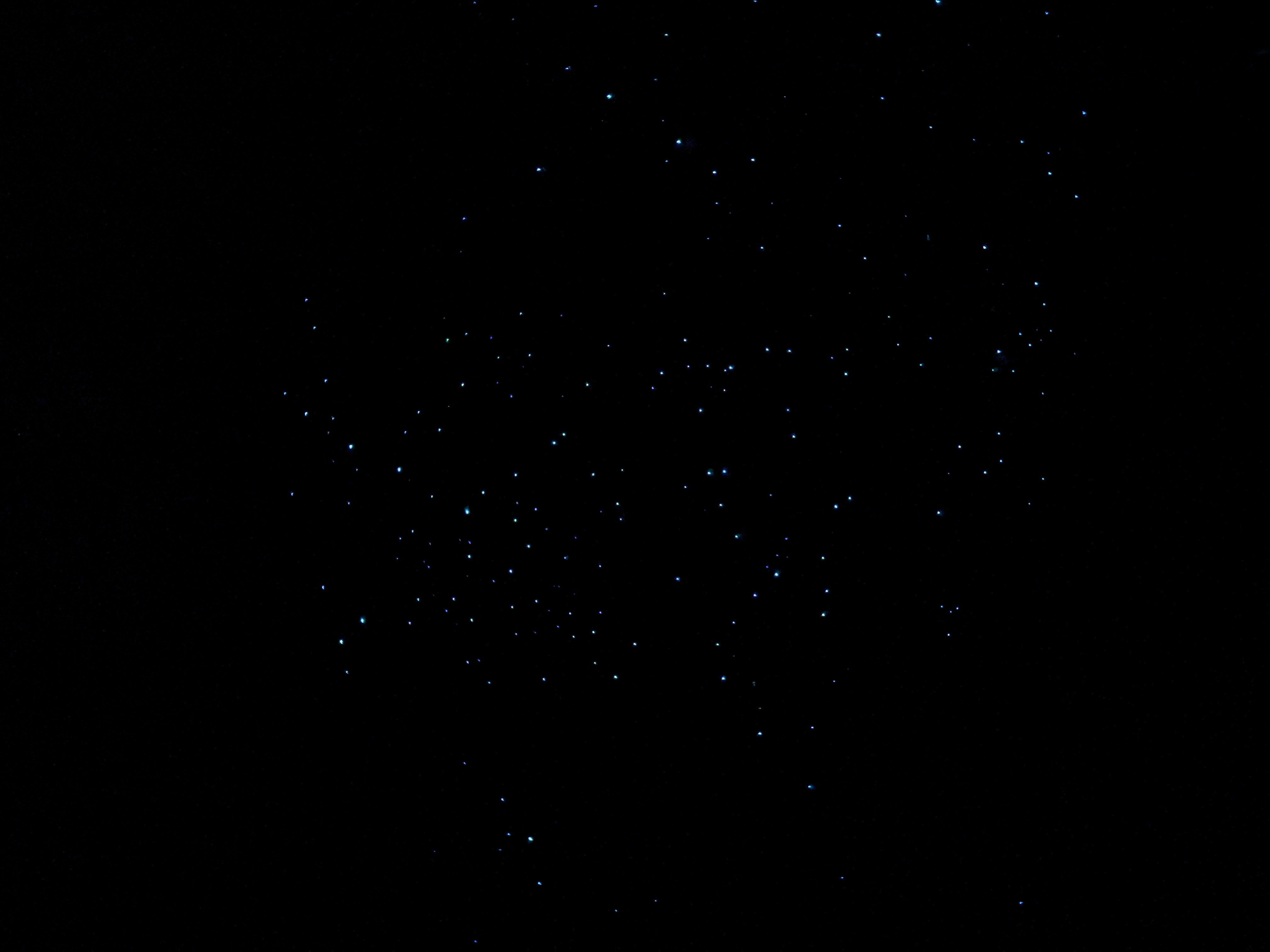 Whites Bay Campsite image 2