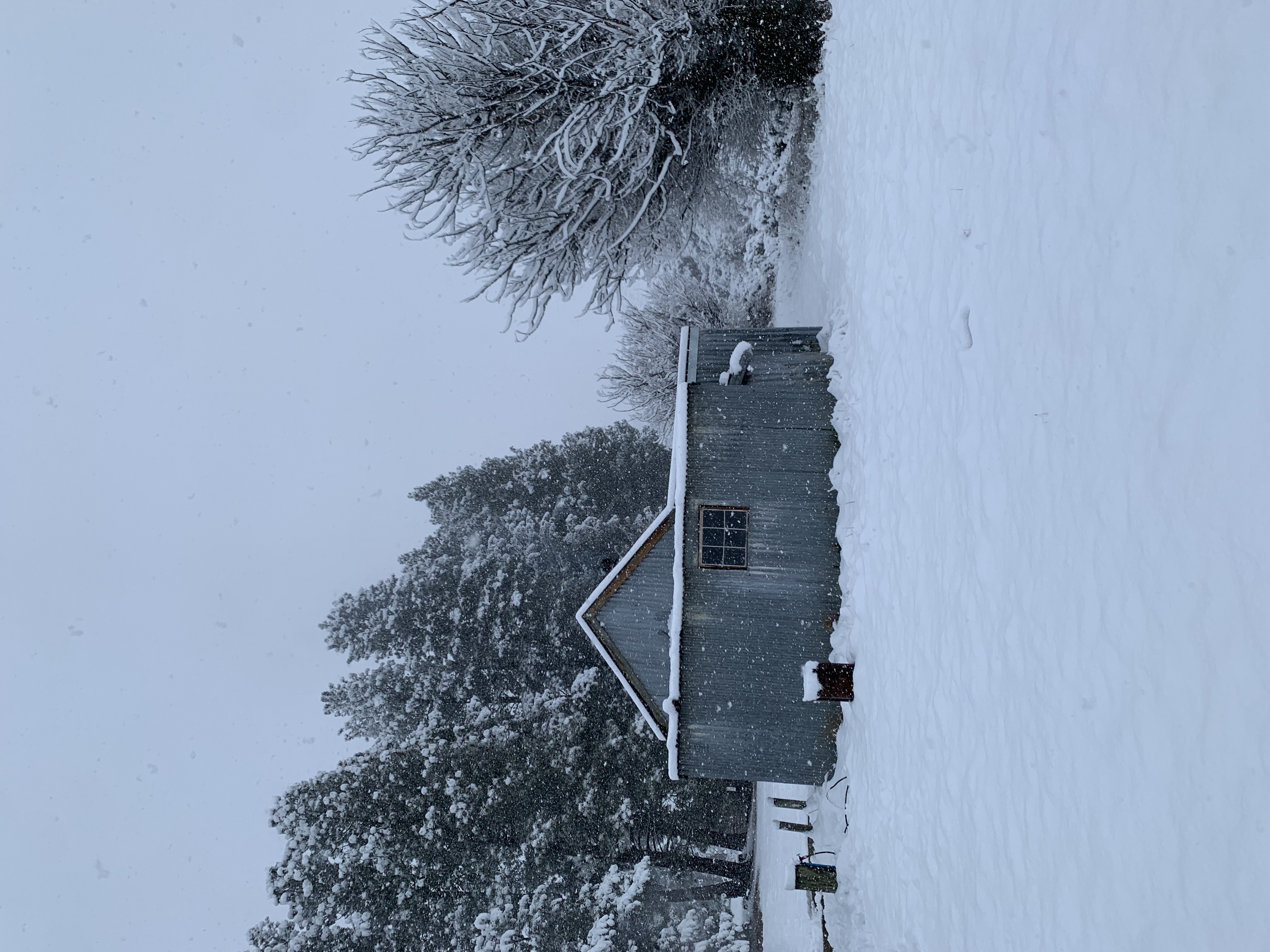 Homestead Campsite image 5