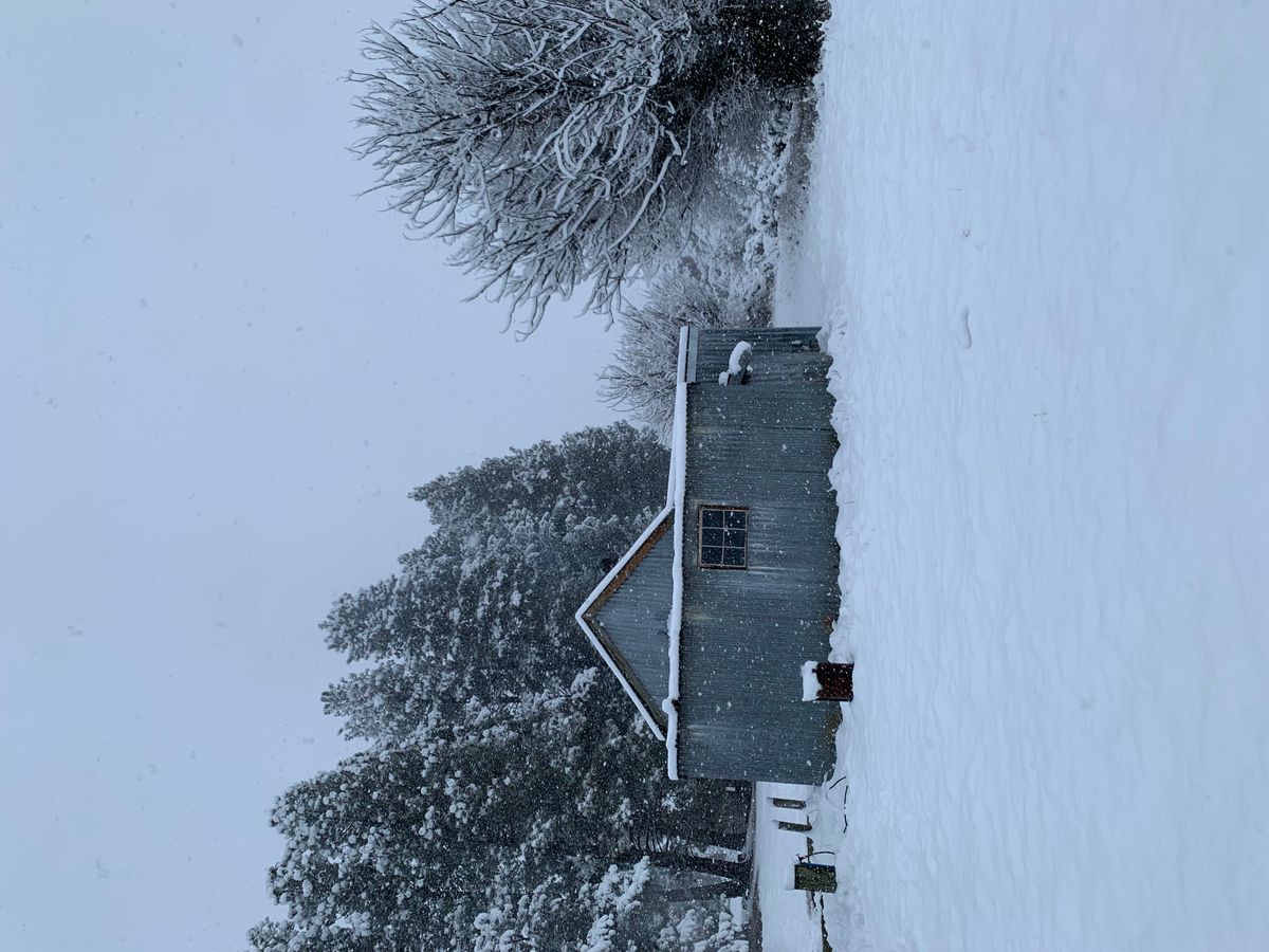 Homestead Campsite image 5