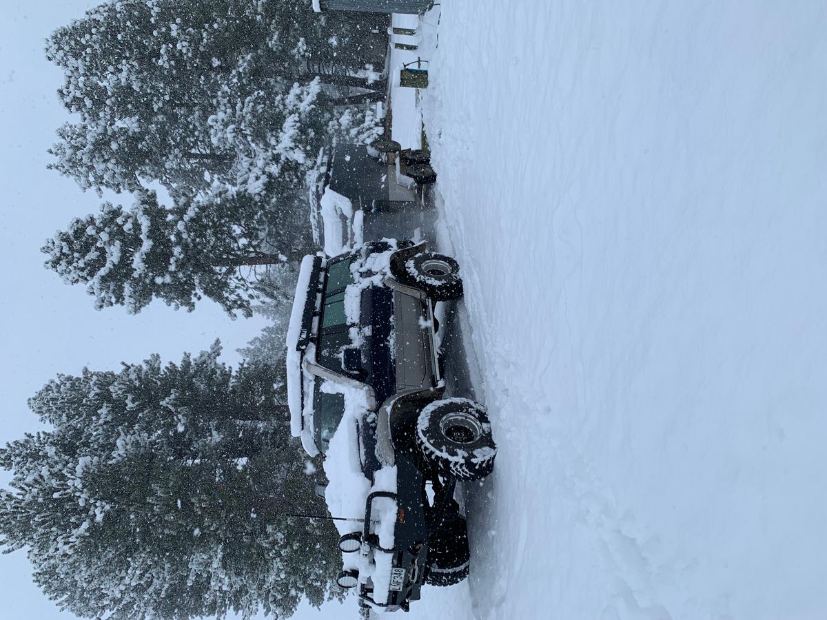 Homestead Campsite image 4