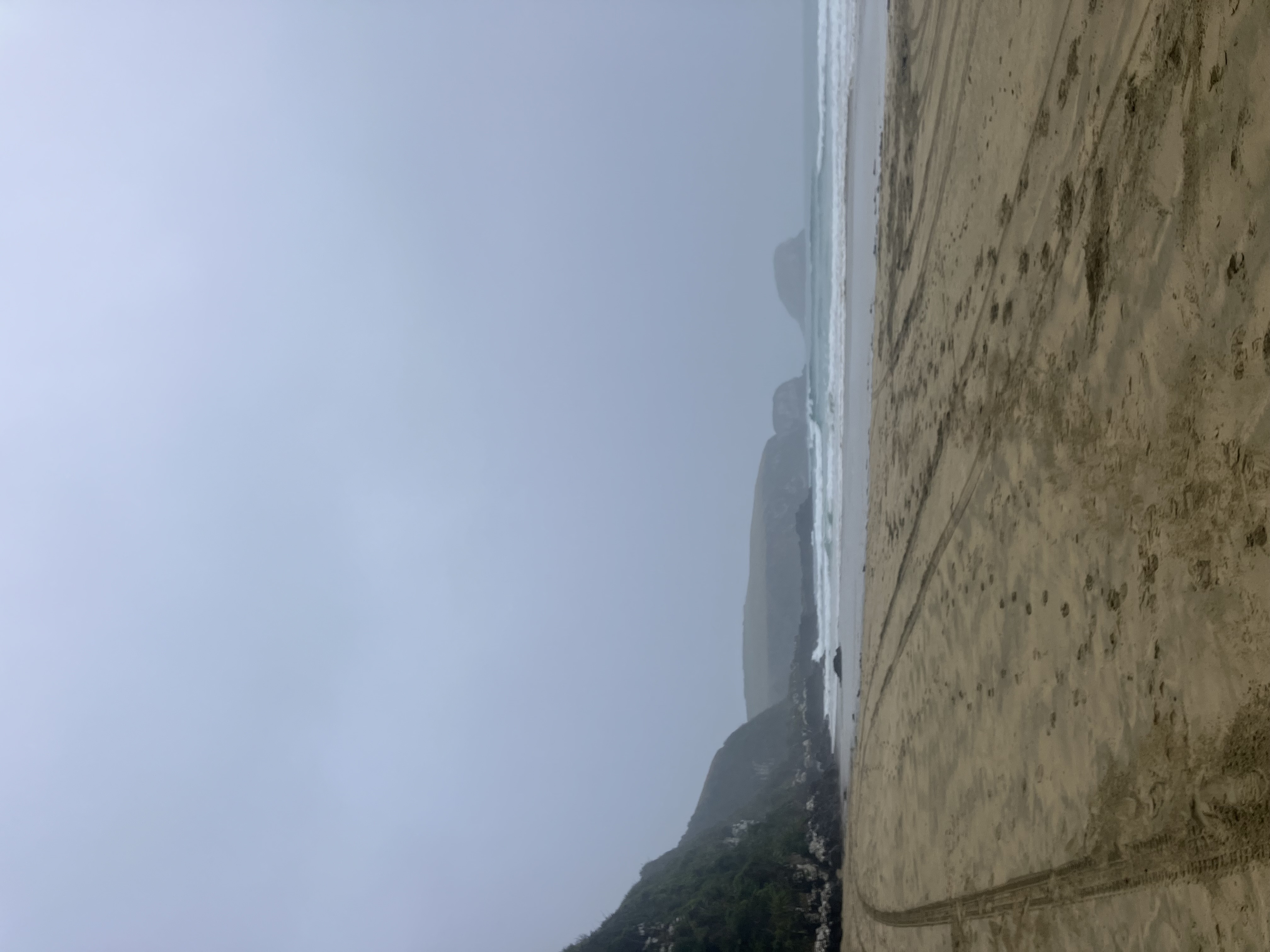 Tautuku Beach image 1