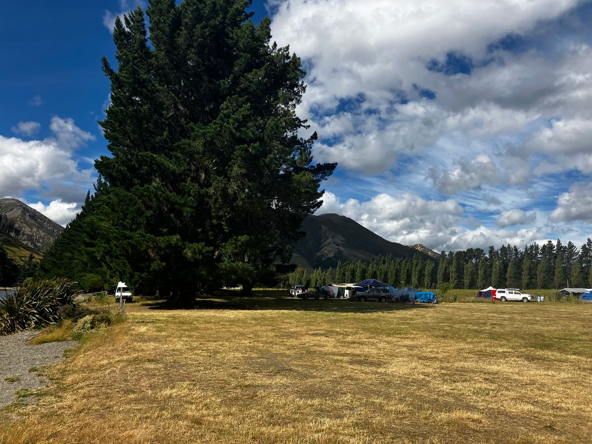 Lake Taylor Campsite image 1