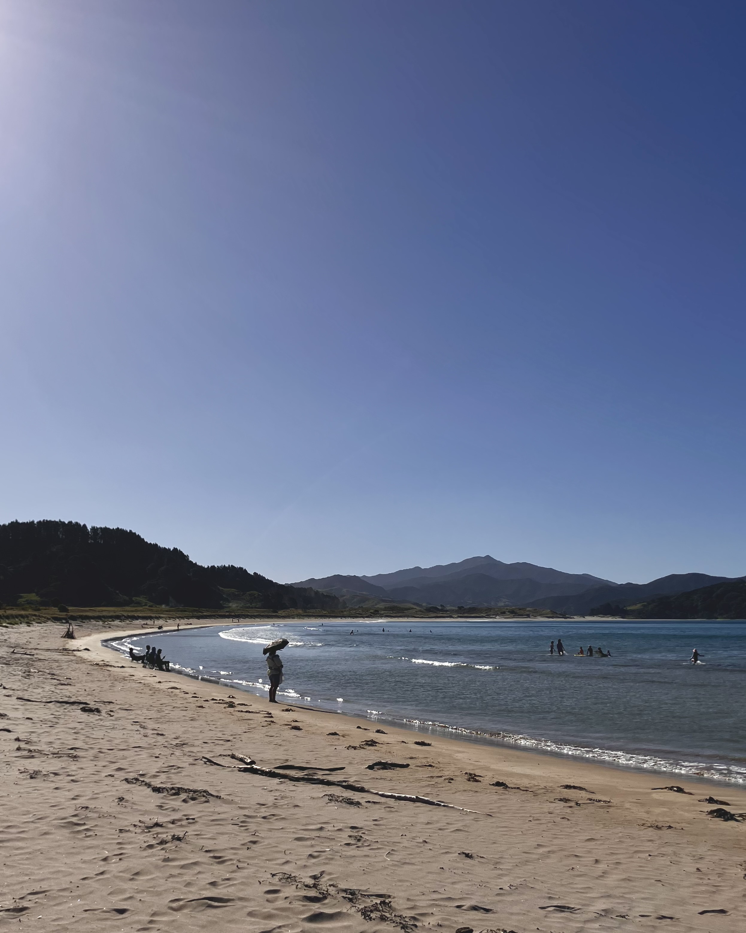 Waikawau Bay Campsite image 1