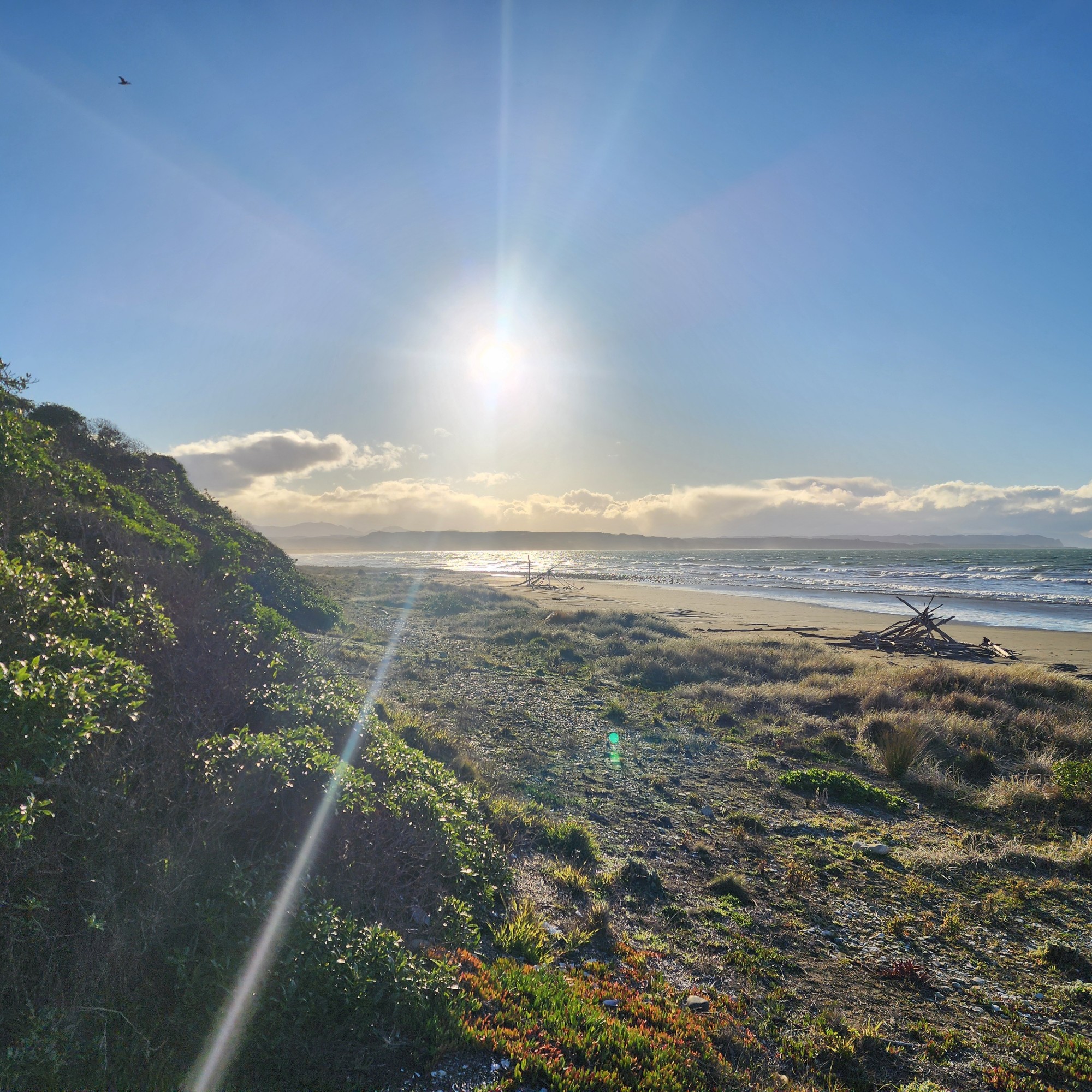 Marfells Beach Campsite image 4