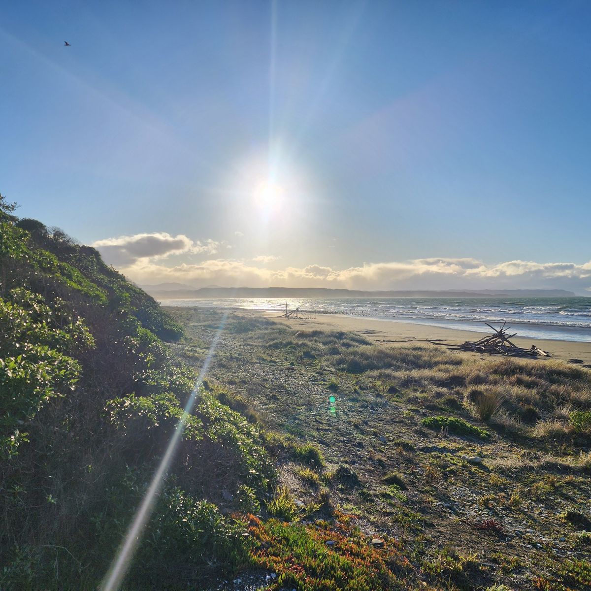 Marfells Beach Campsite image 4