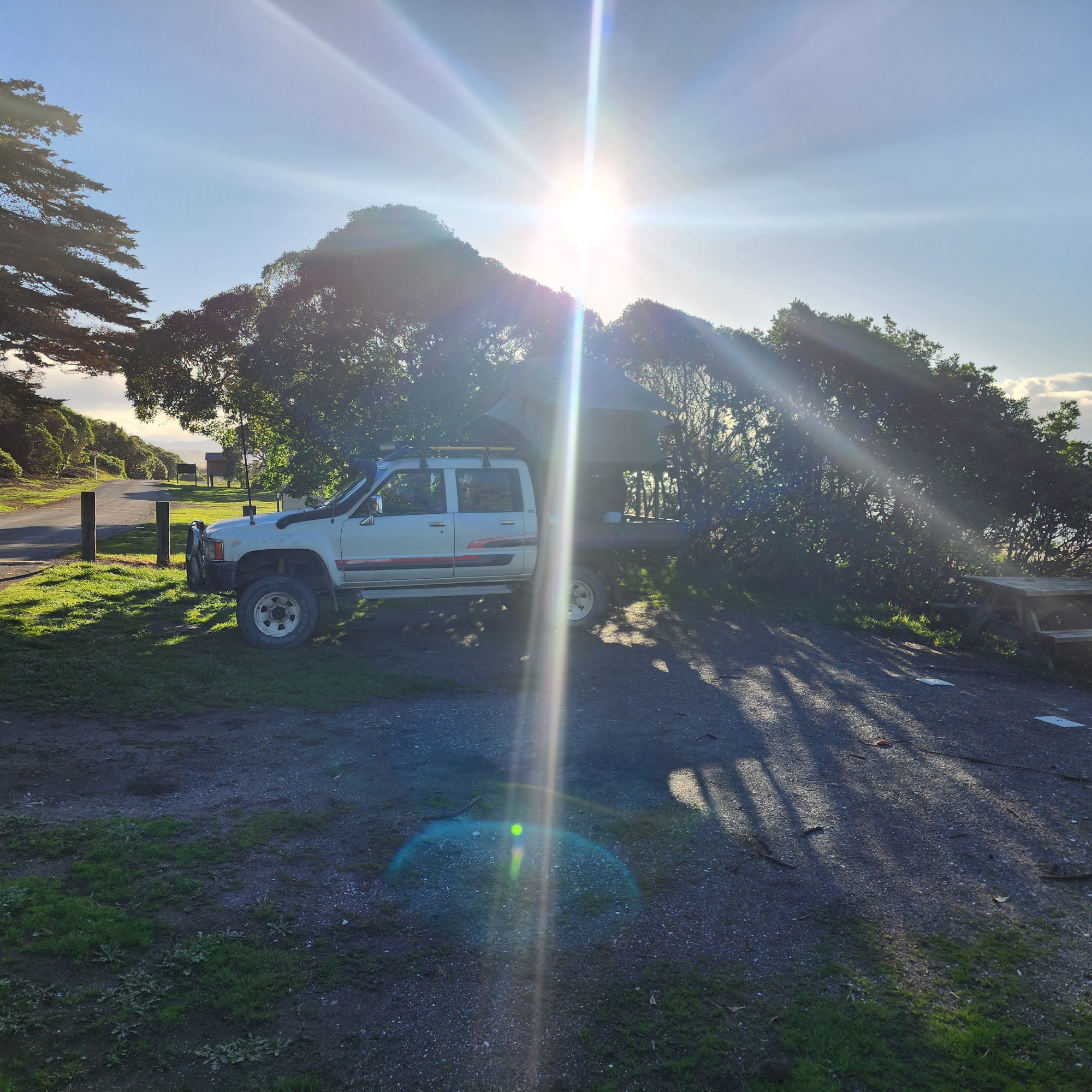 Marfells Beach Campsite image 2