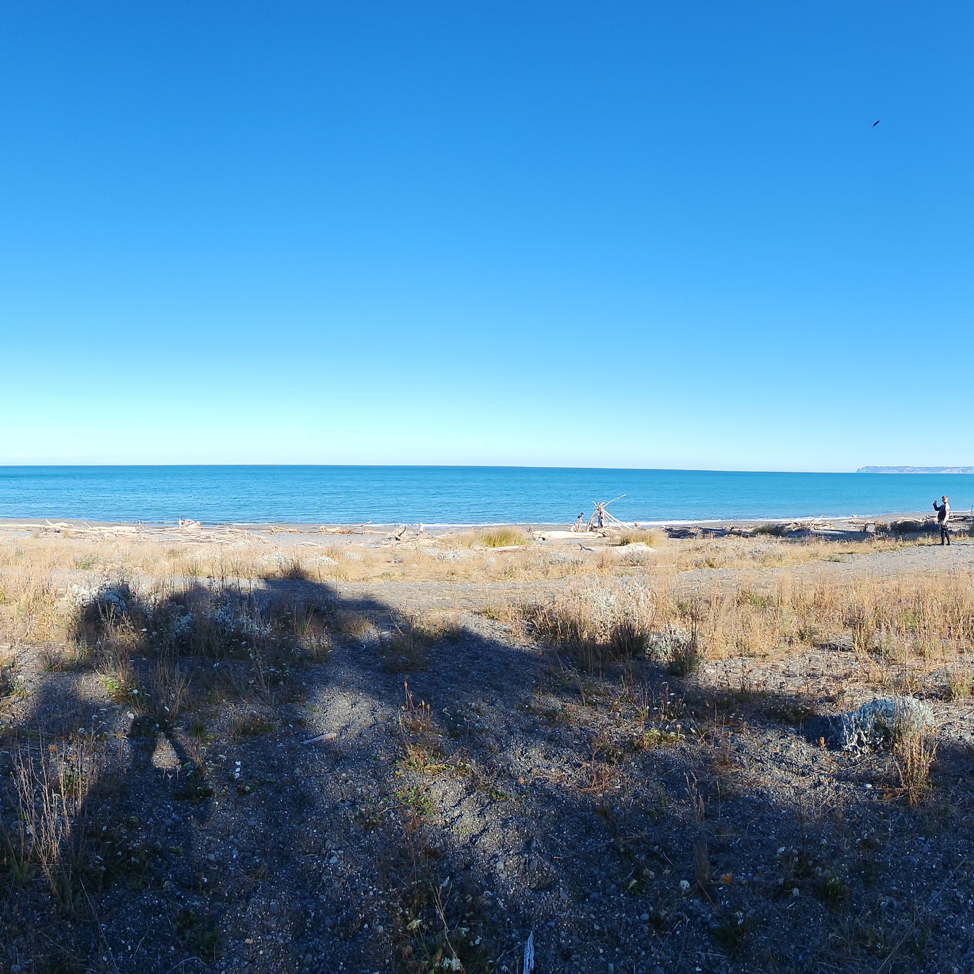 Rarangi Campsite image 3