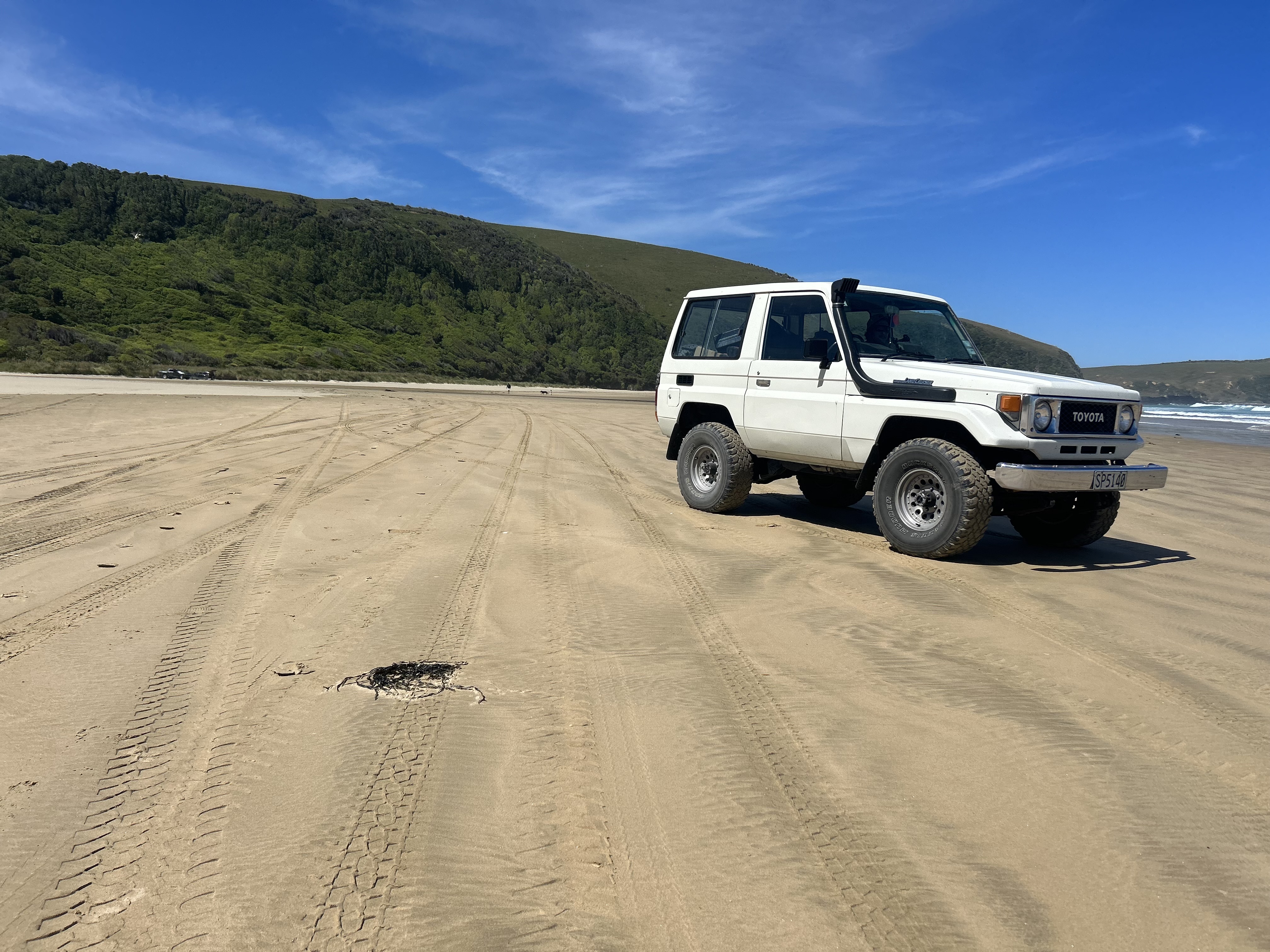 Tautuku Beach image 4