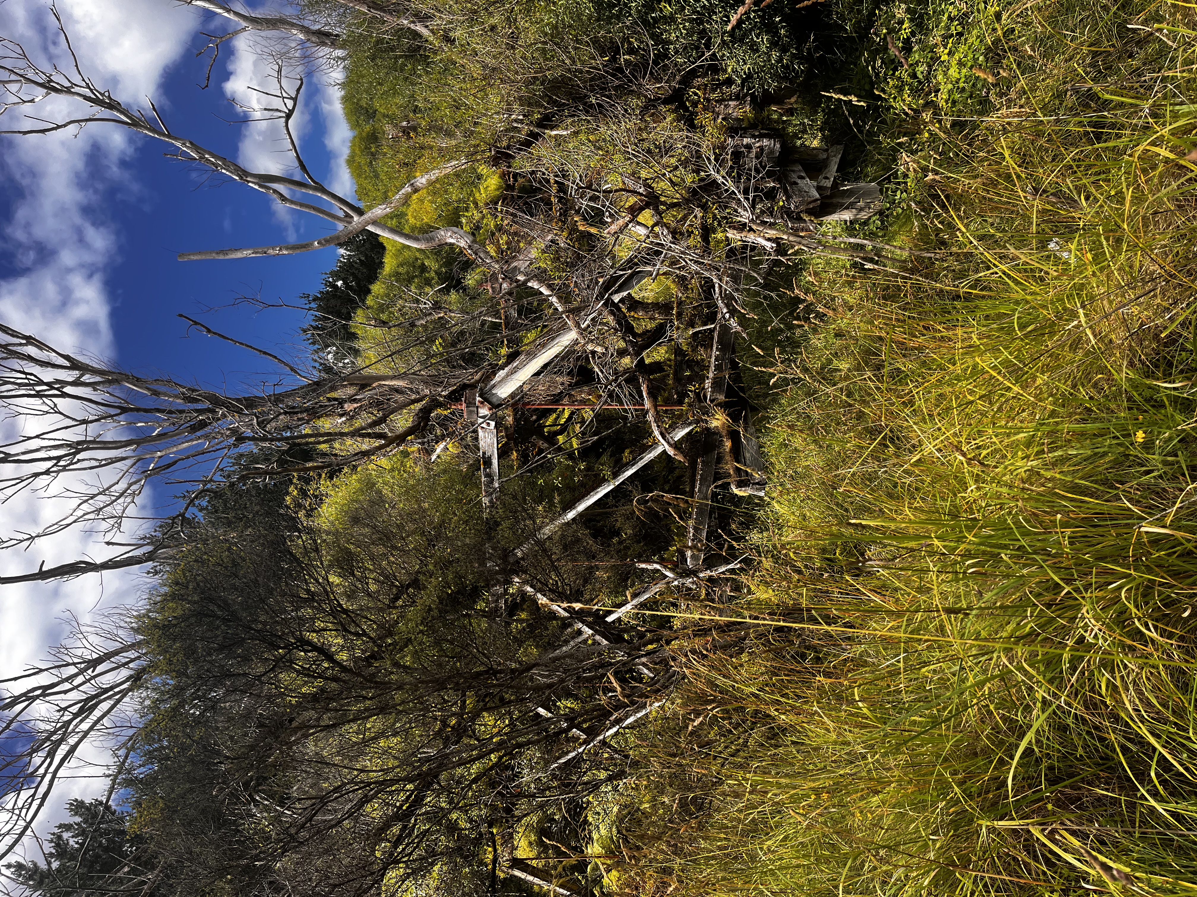 Kauarapaoa Road image 1
