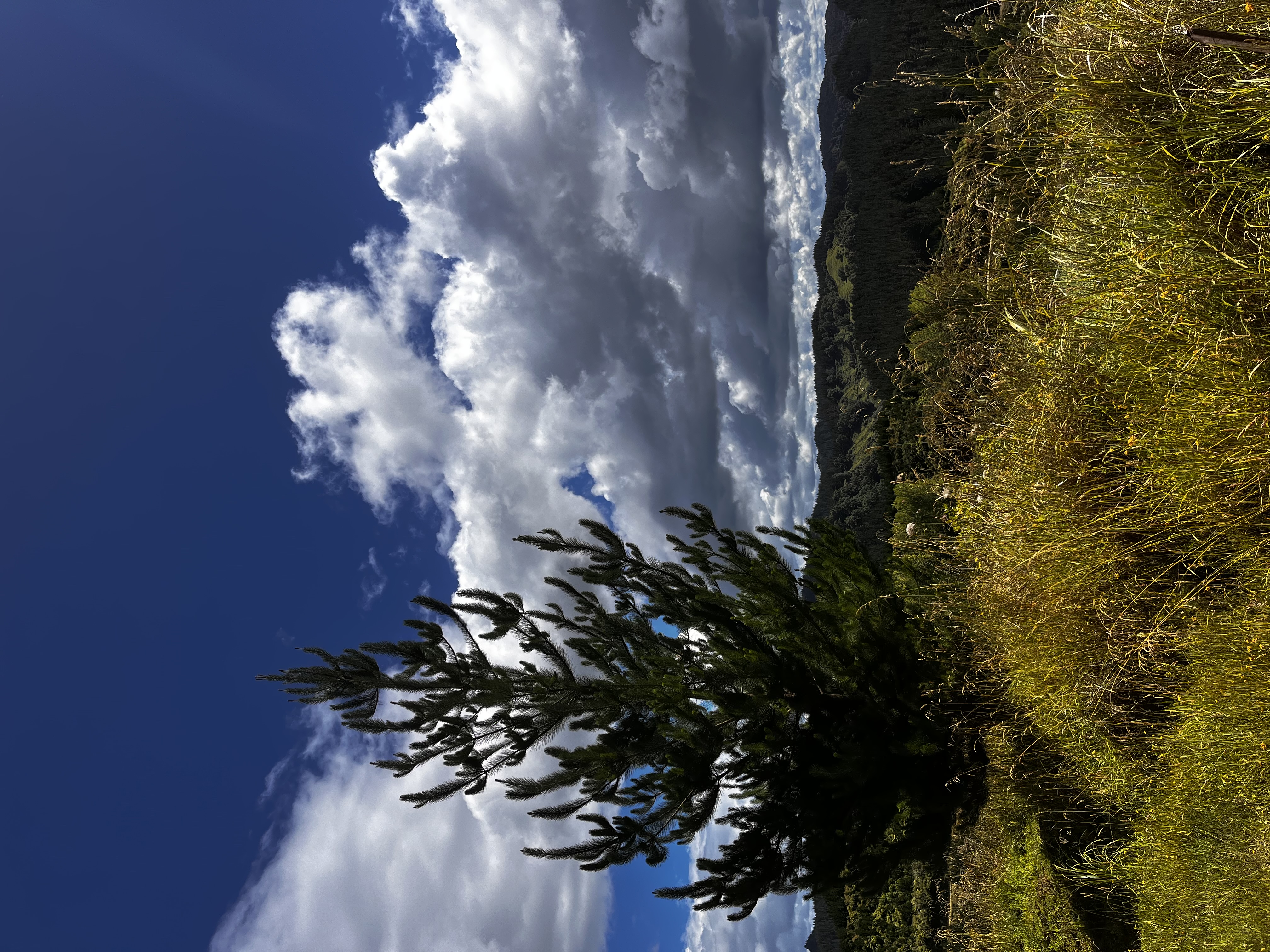 Kauarapaoa Road image 5