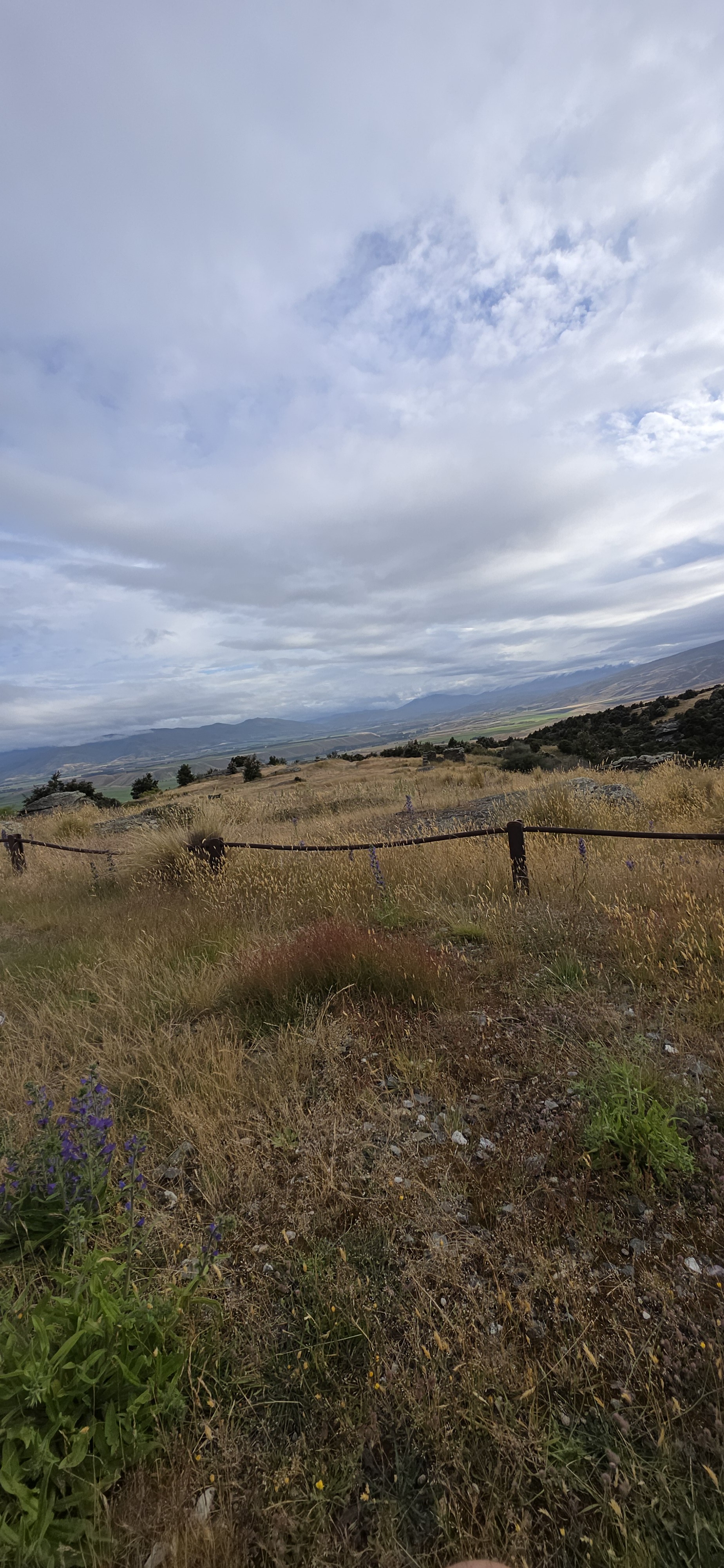 Blue Mines Road/Logantown image 3