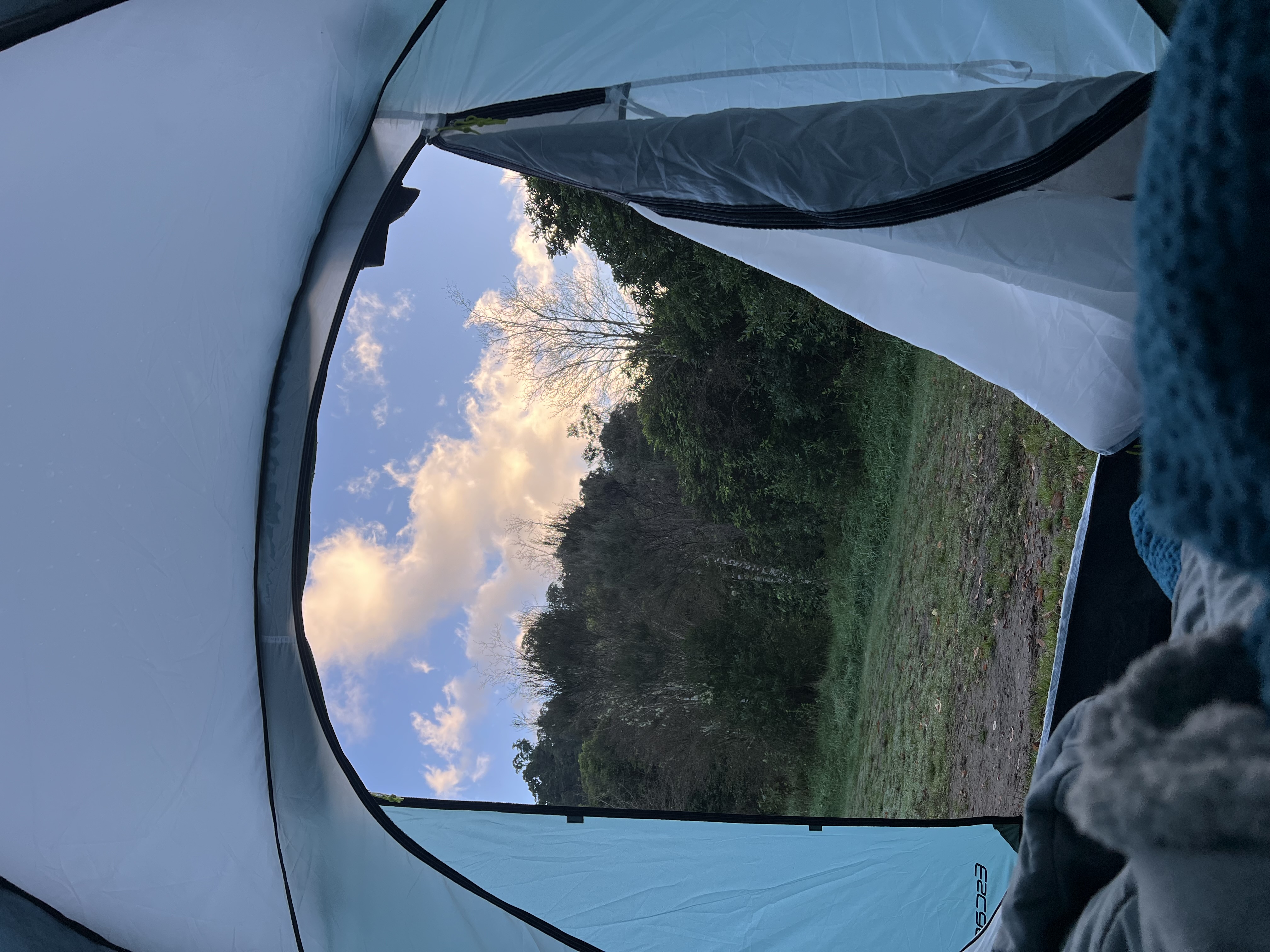 Waiohine Gorge Campsite image 8