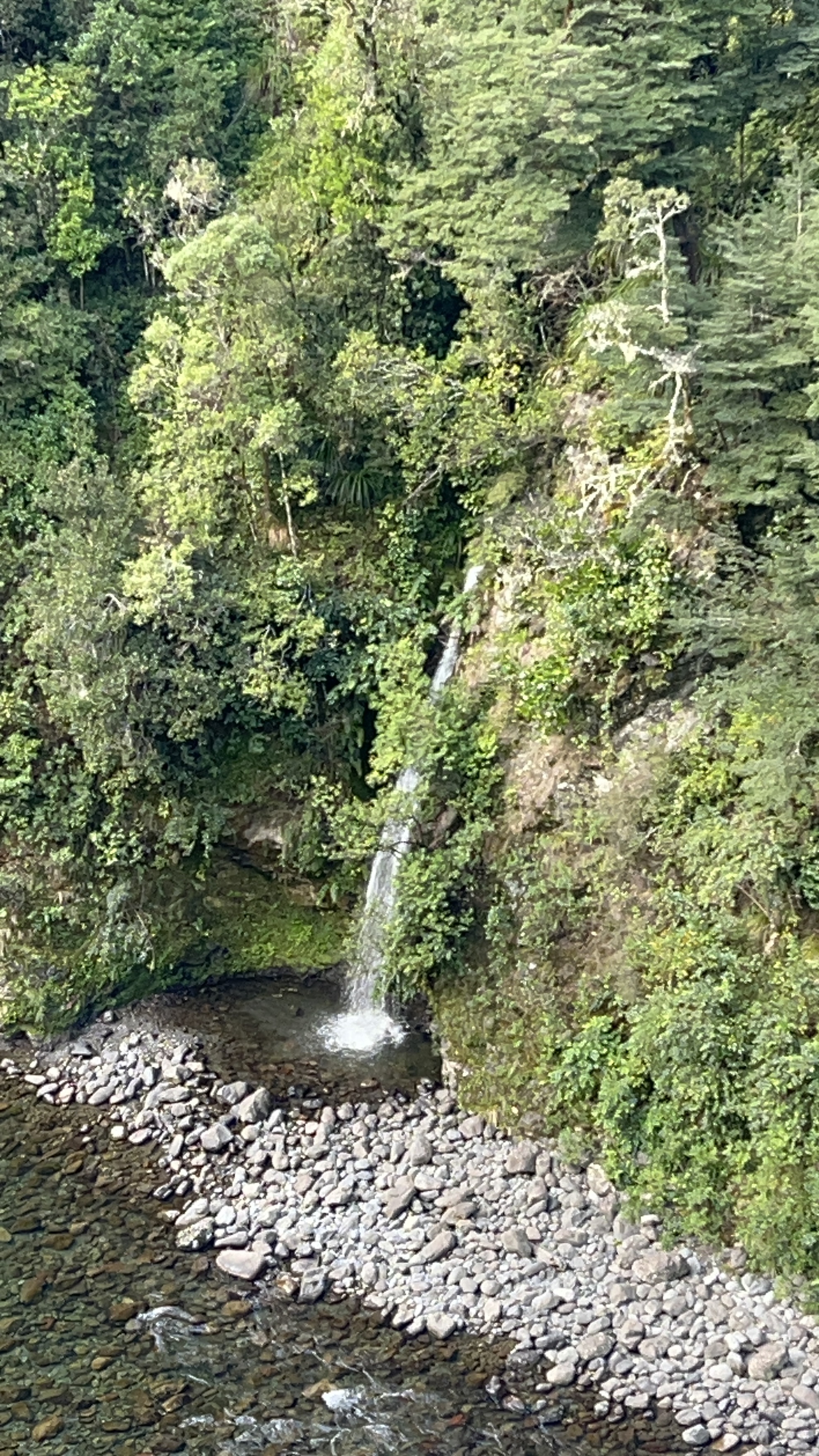 Waiohine Gorge Campsite image 7