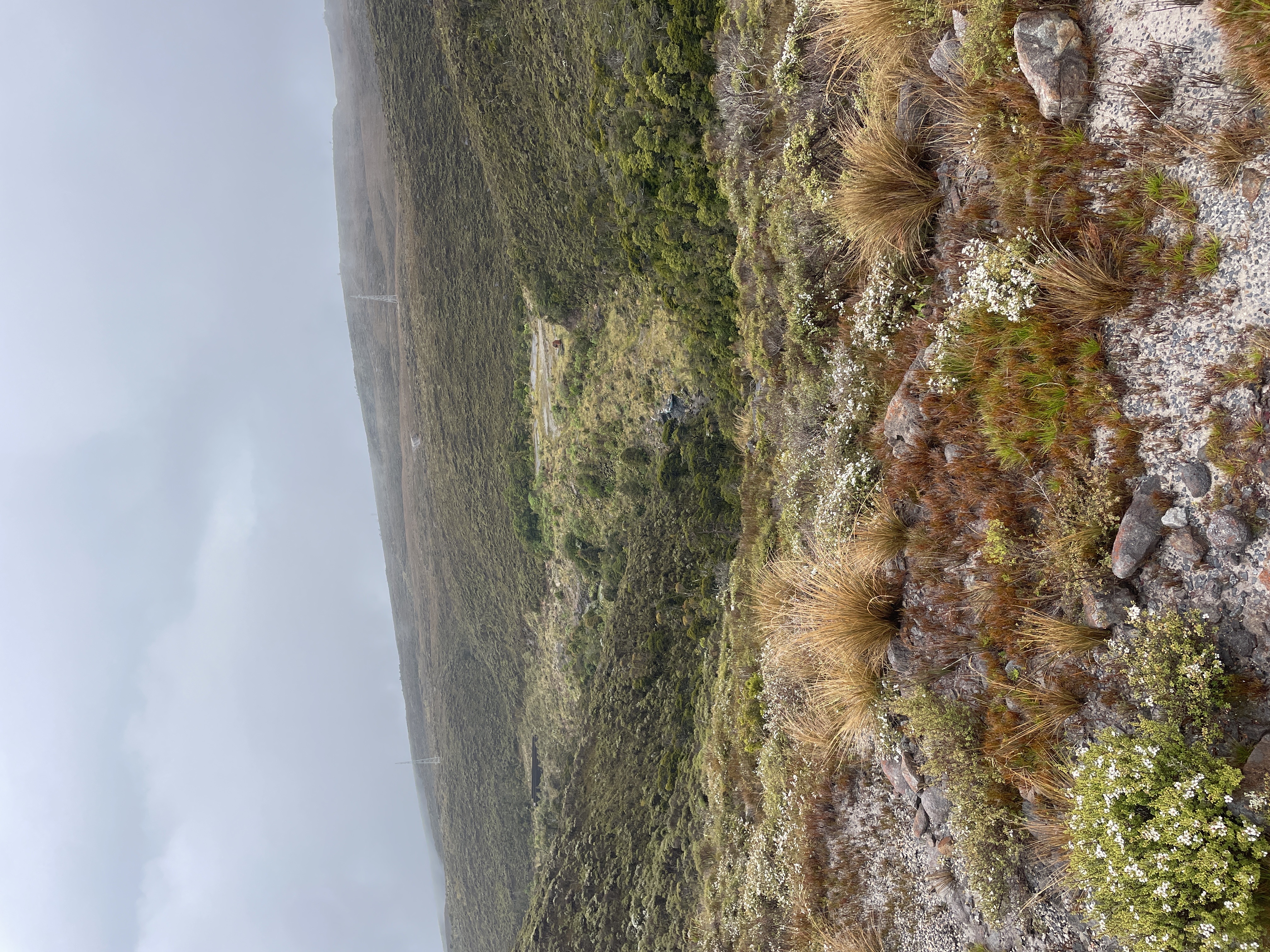 Denniston 4wd Loop image 1