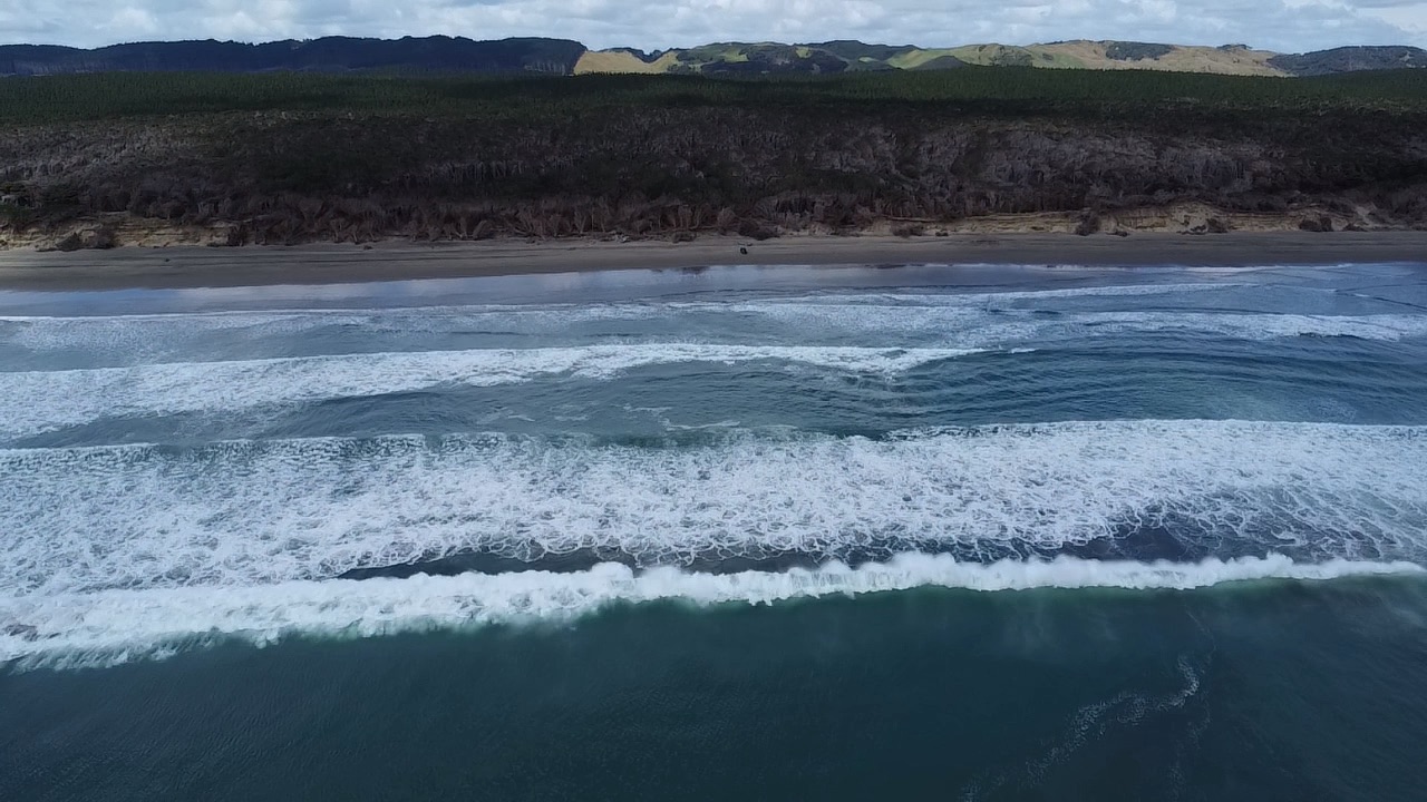 Muriwai Beach image 4