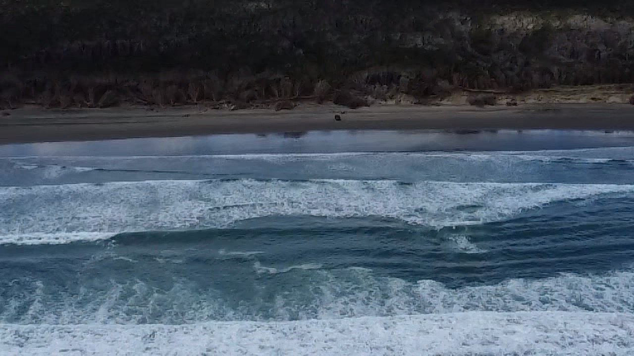 Muriwai Beach image 2