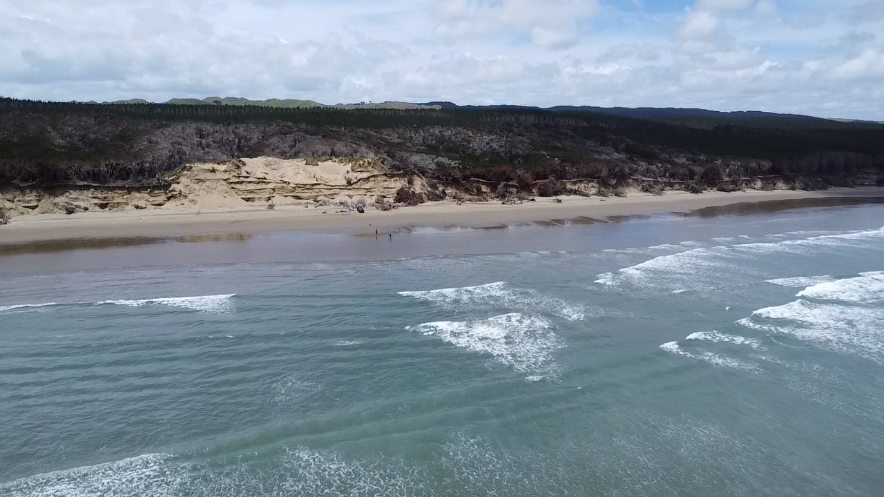 Muriwai Beach image 3