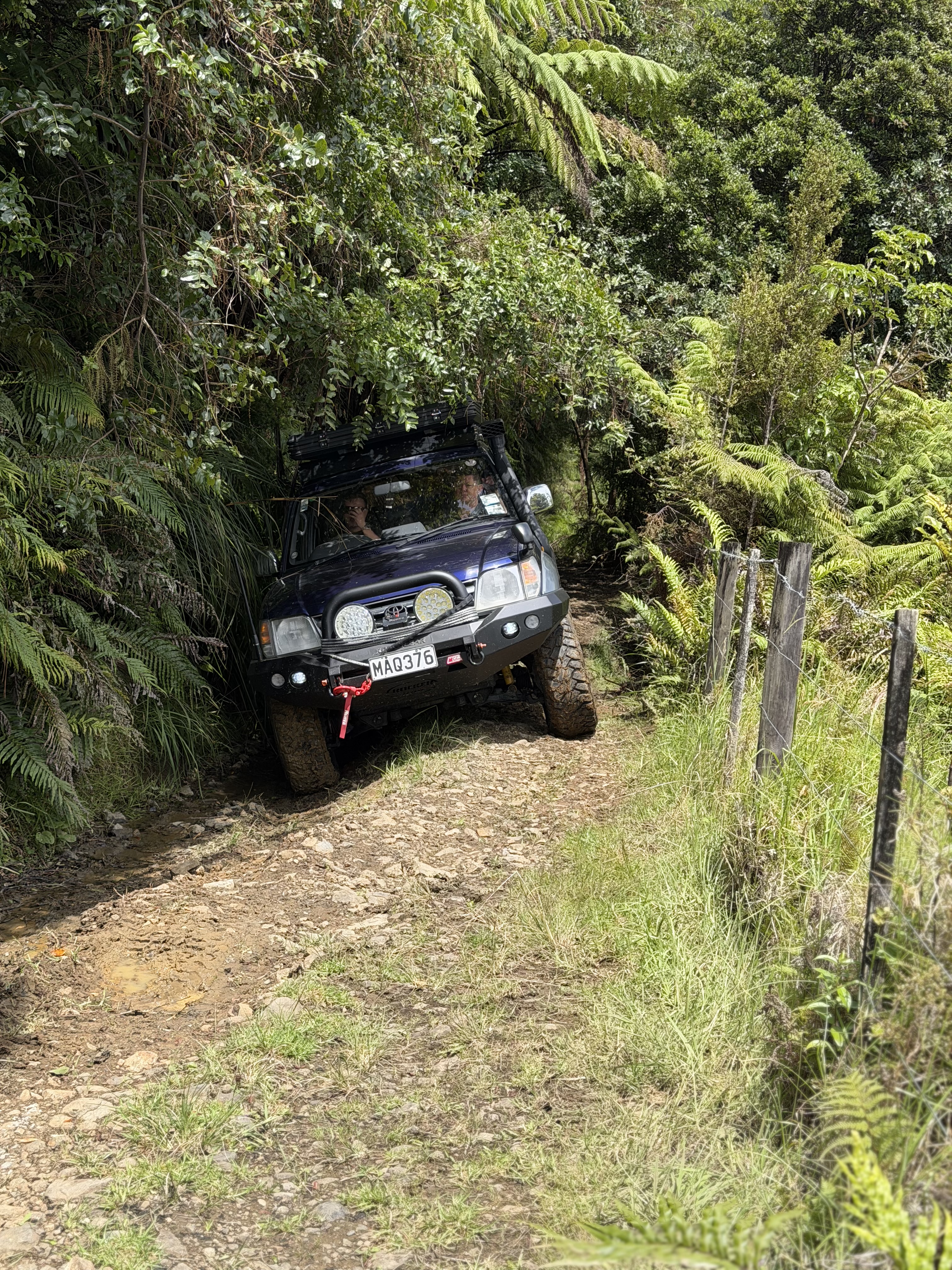 Takahue Saddle Road image 1