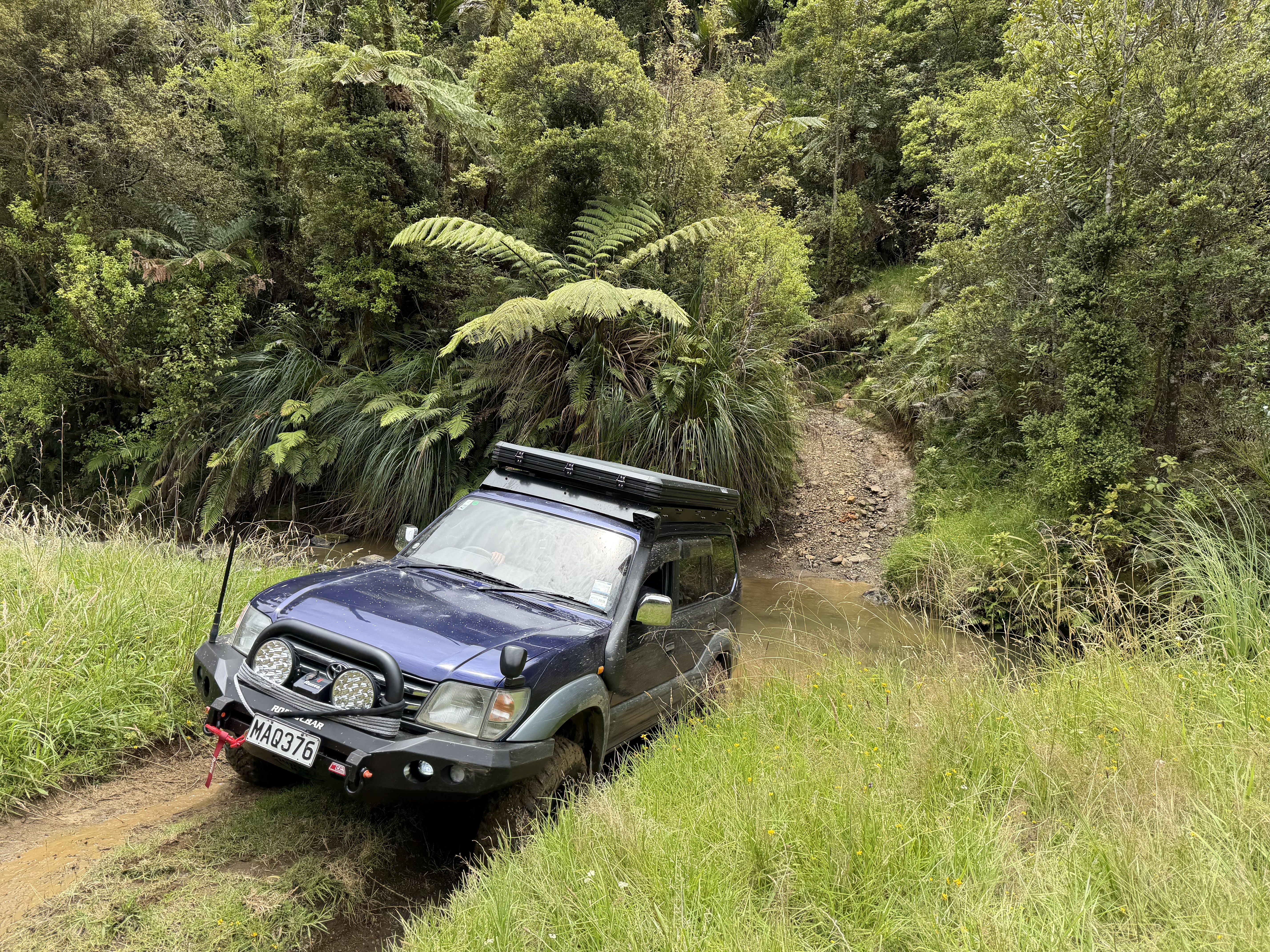 Takahue Saddle Road image 2