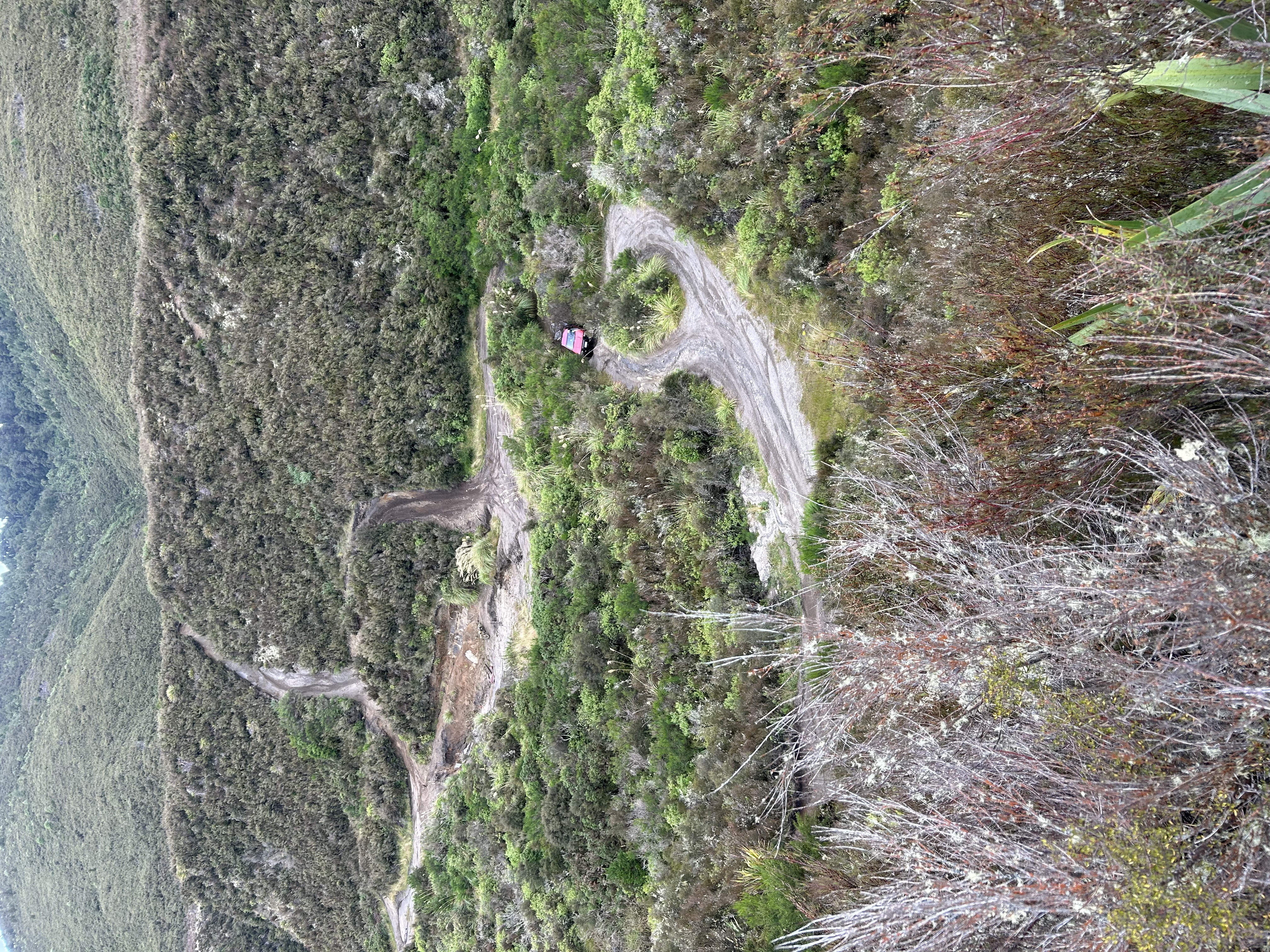 State Forest 70 (SF70) image 1