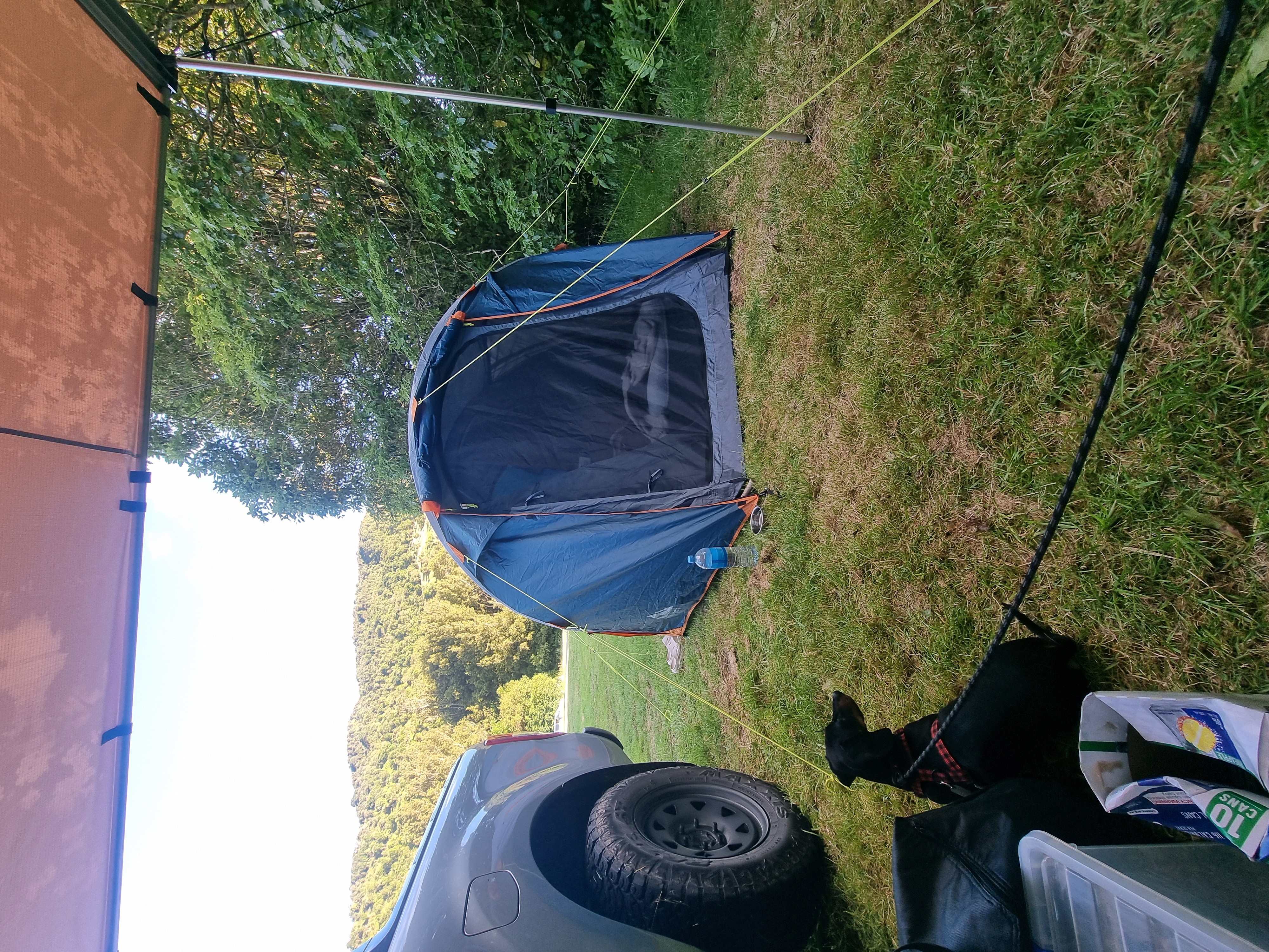 Otaki Forks Campsite image 1