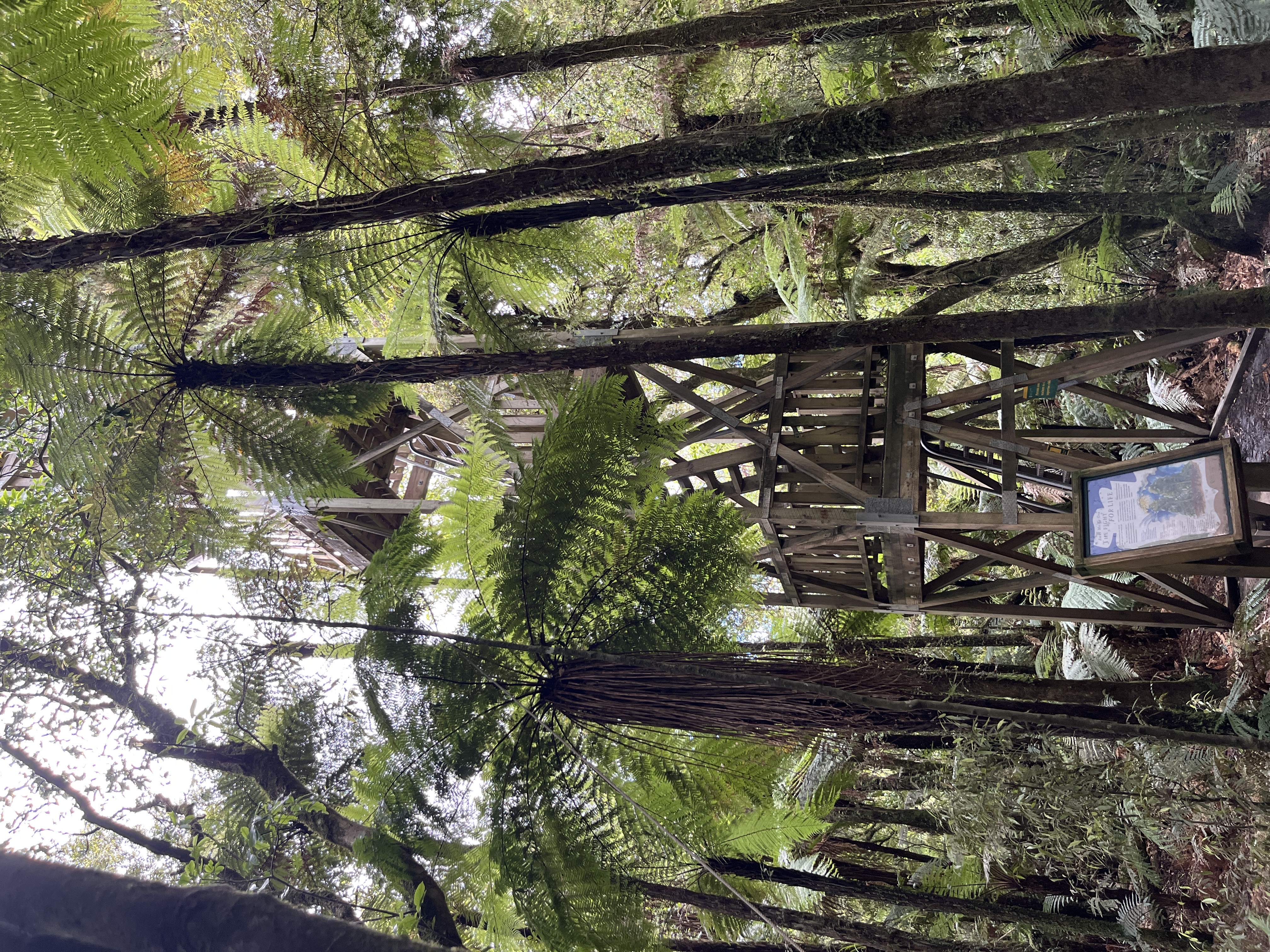 Fire Lookout image 2