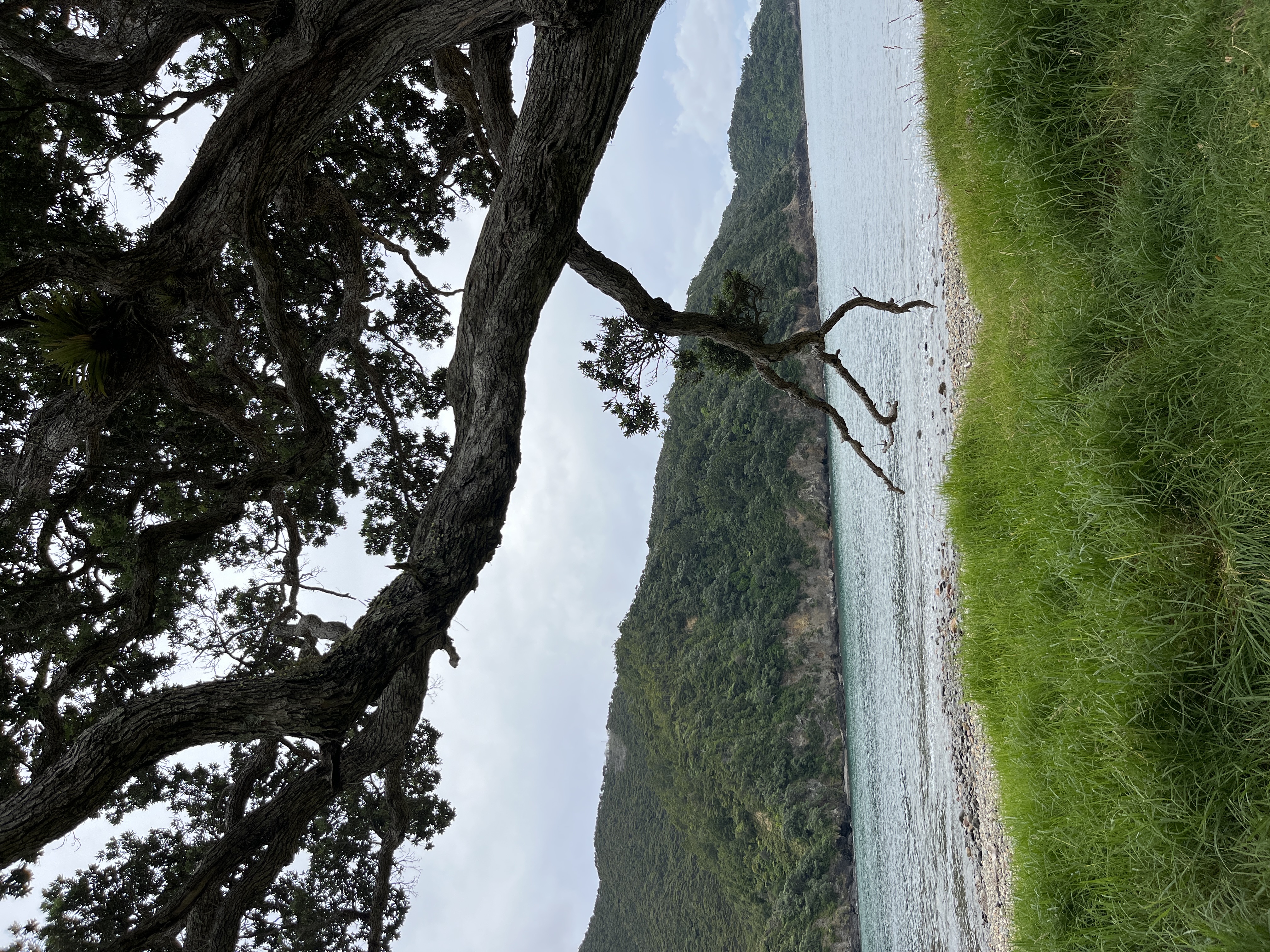 Stony Bay Road image 2