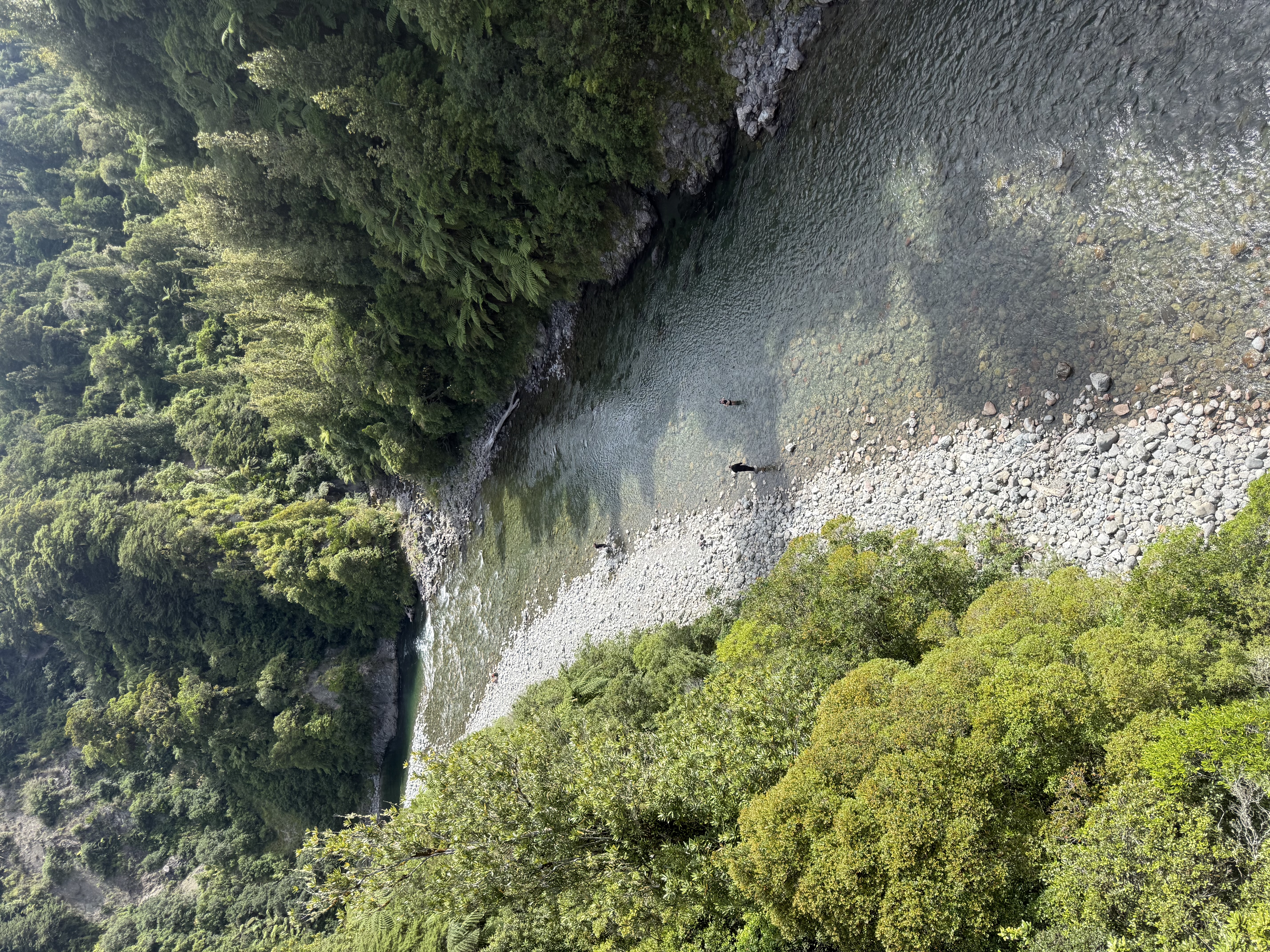 Waiohine Gorge Campsite image 1